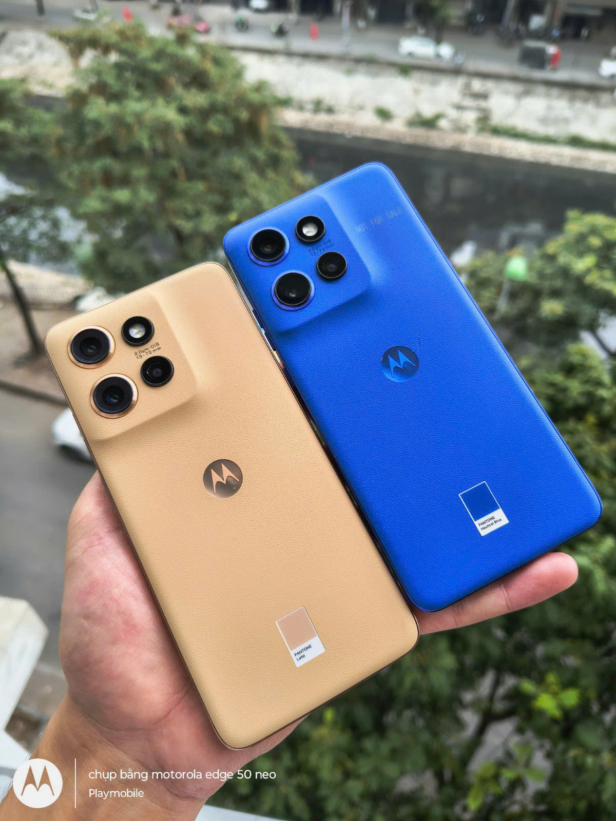 z6536851797616_4993590616ff9a389308e844d8ca403d