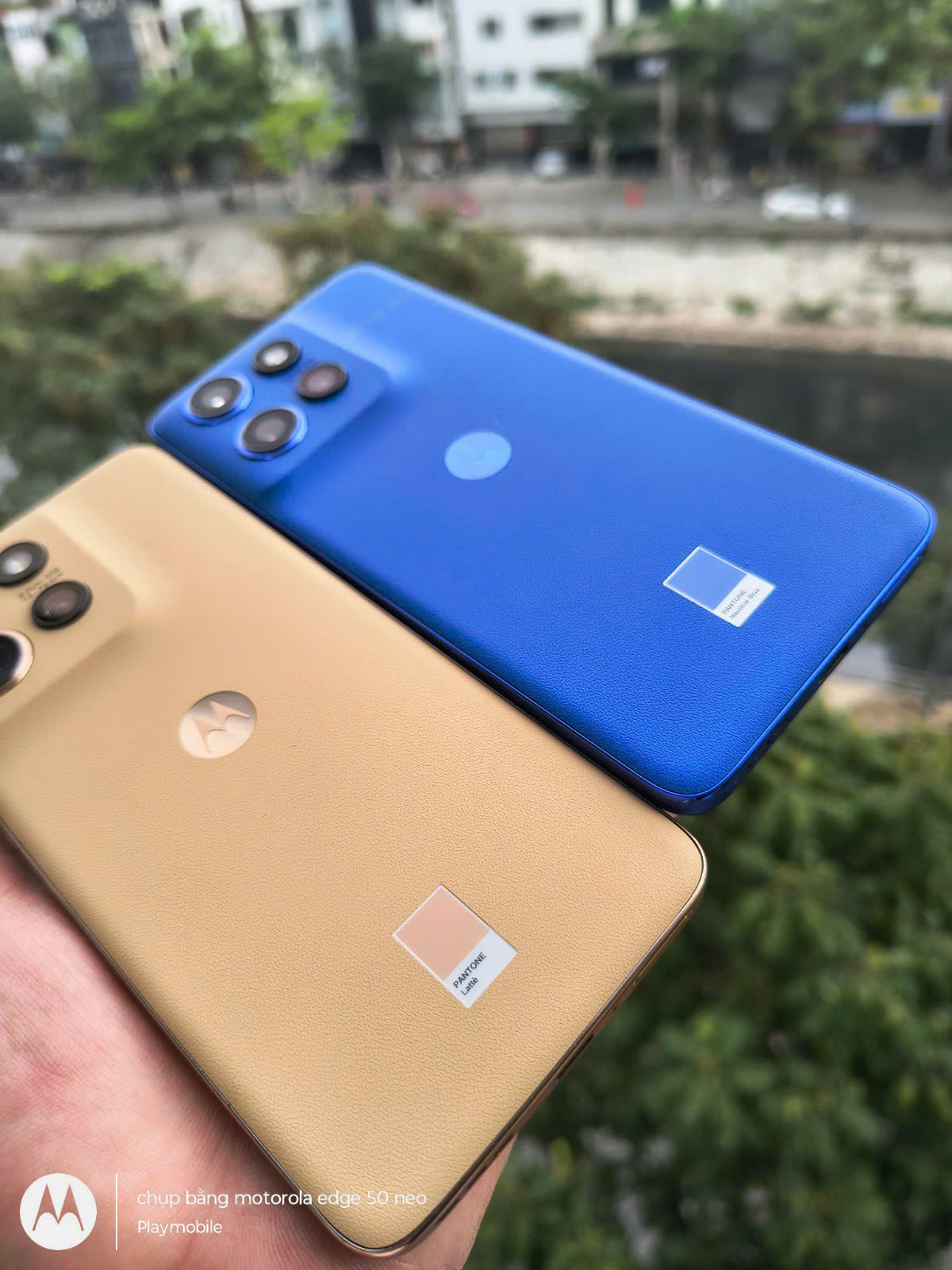 z6536851817987_7d24ef1bba5e0a959f3c19d77fc53b93