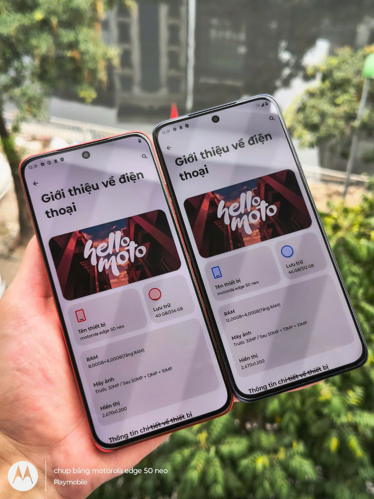 z6536851866246_763e6f742876203d6d43d57914fdd317