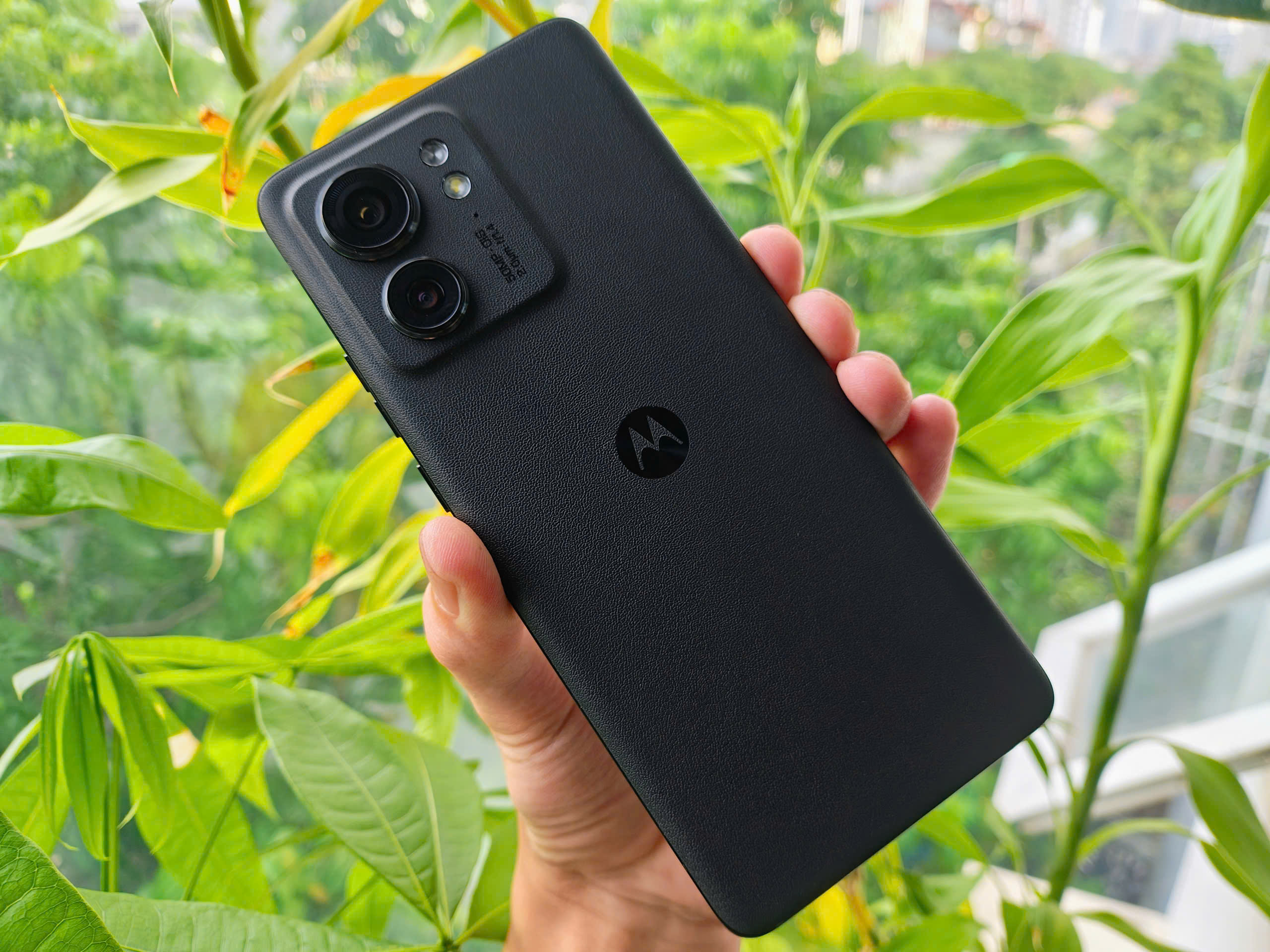 z6731182914598_8031c16d231a748eccd707b8fb4a379c