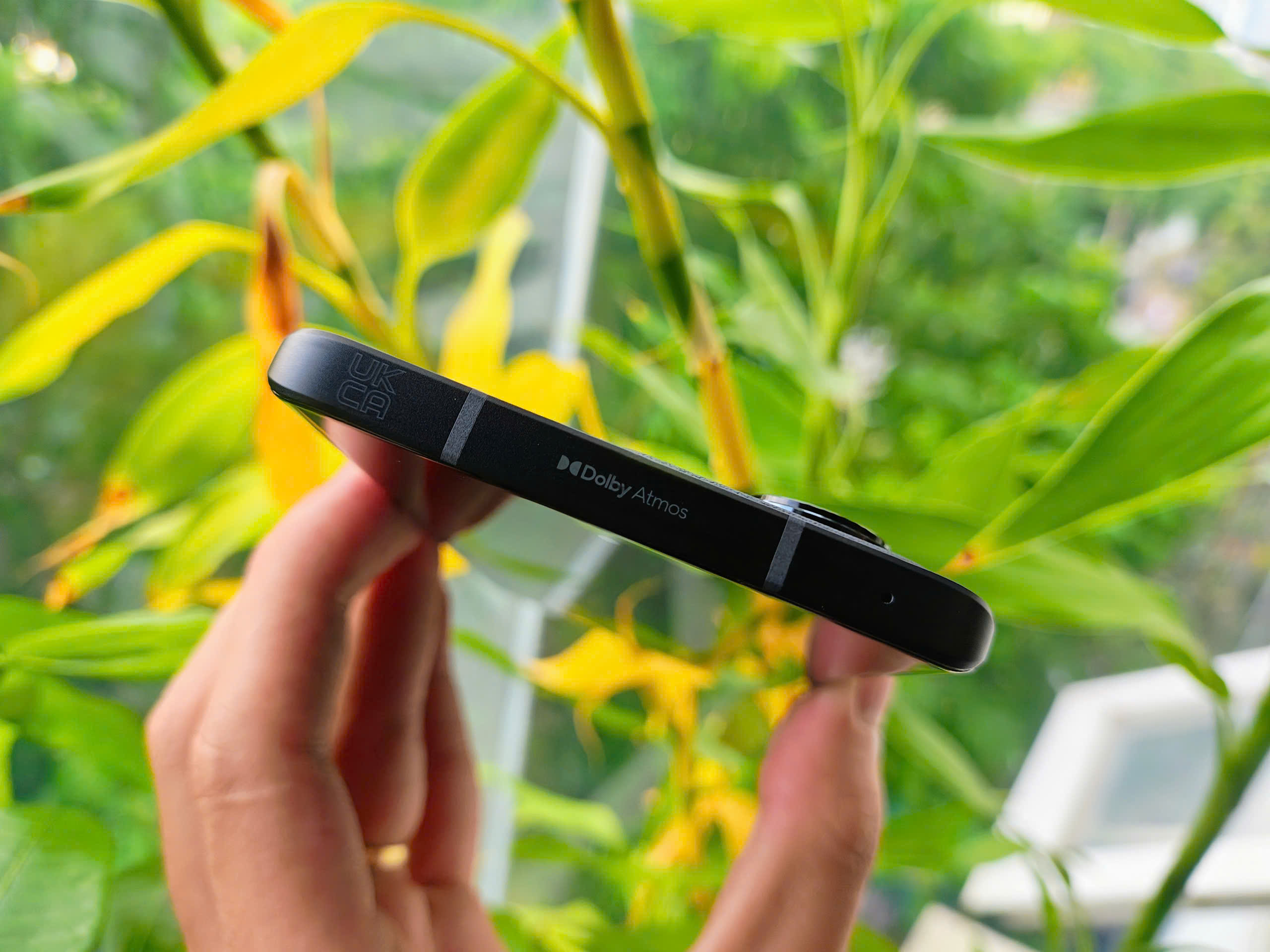 z6731182923421_3ccd54a0aeefff9cc88b030a305240c1