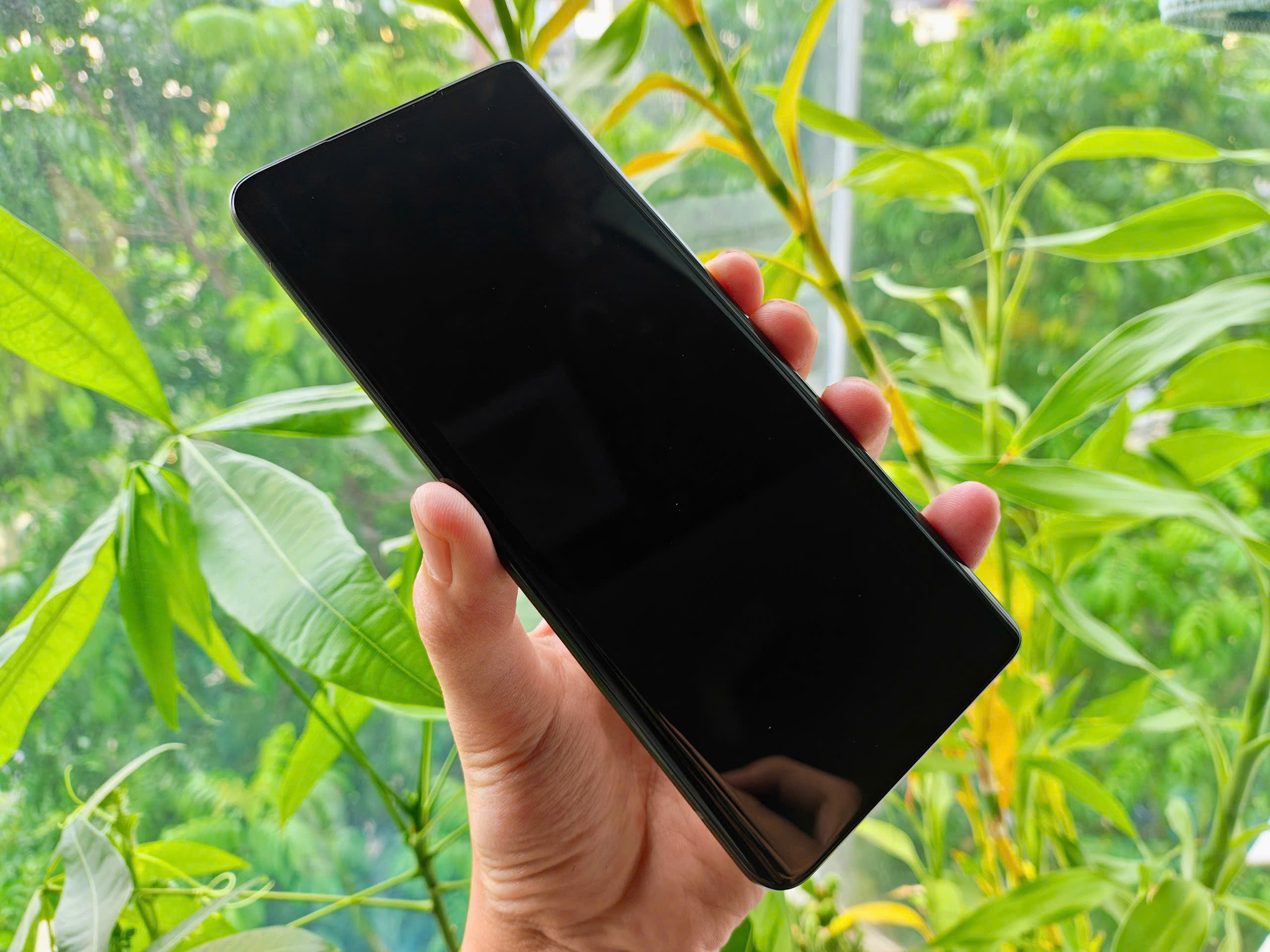 z6731182924322_535f3a2d264b02856953c7c9b5d1c12d