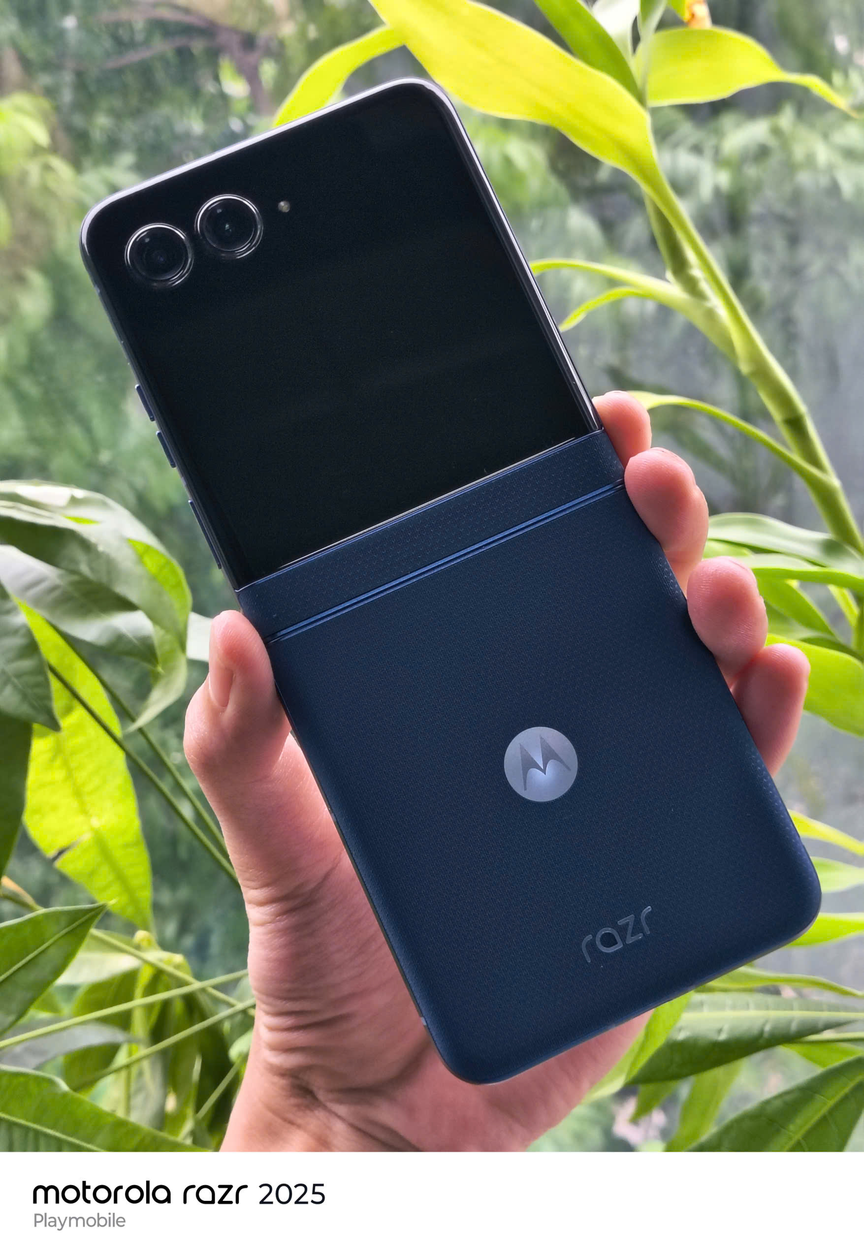 z7001539030376_79a8774b0d0e47f8add2066d78036a74