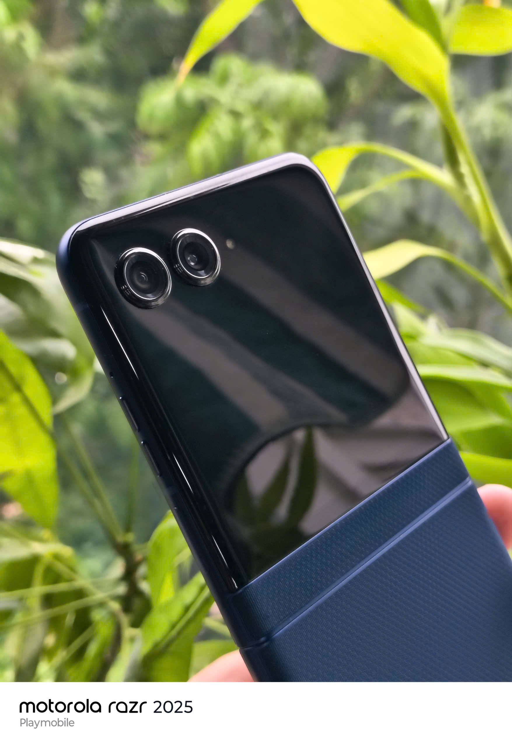 z7001539040901_5a826b1a1e6f261217ceb069598c04ff