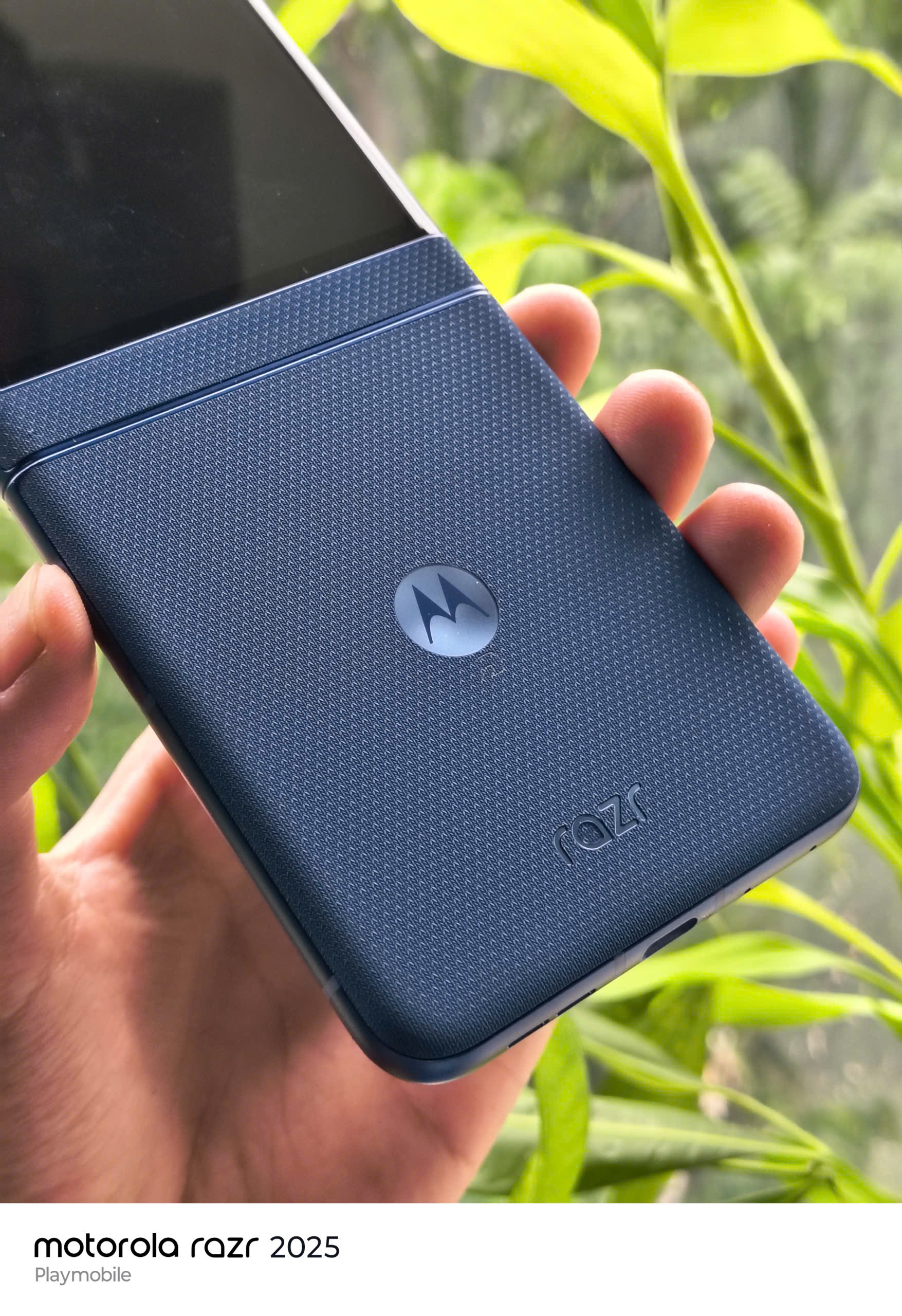 z7001539052922_f3acecced5b84a0d66e87707c9381233