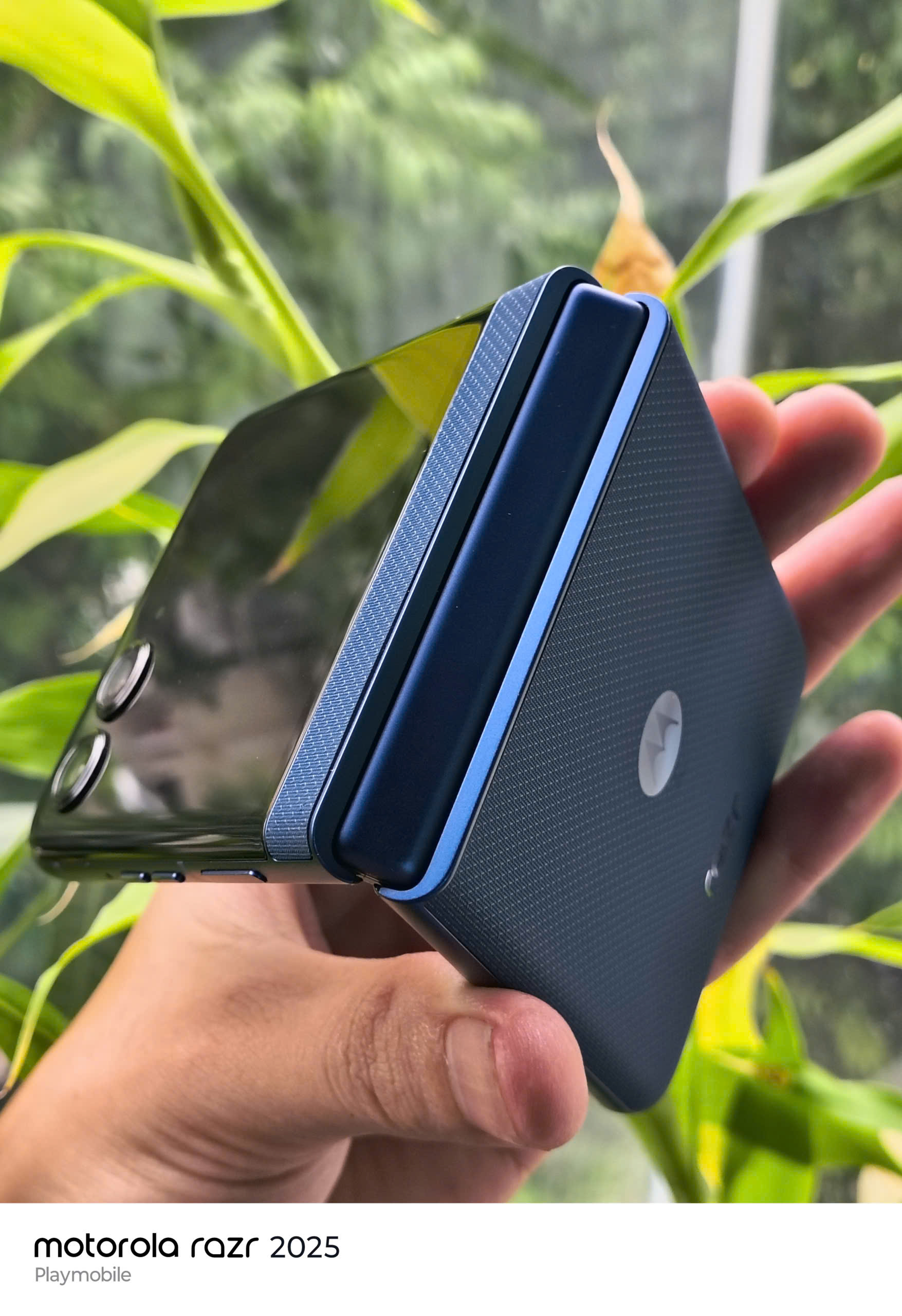 z7001539059668_a76996085c688cbe24de8a6989ed04c6