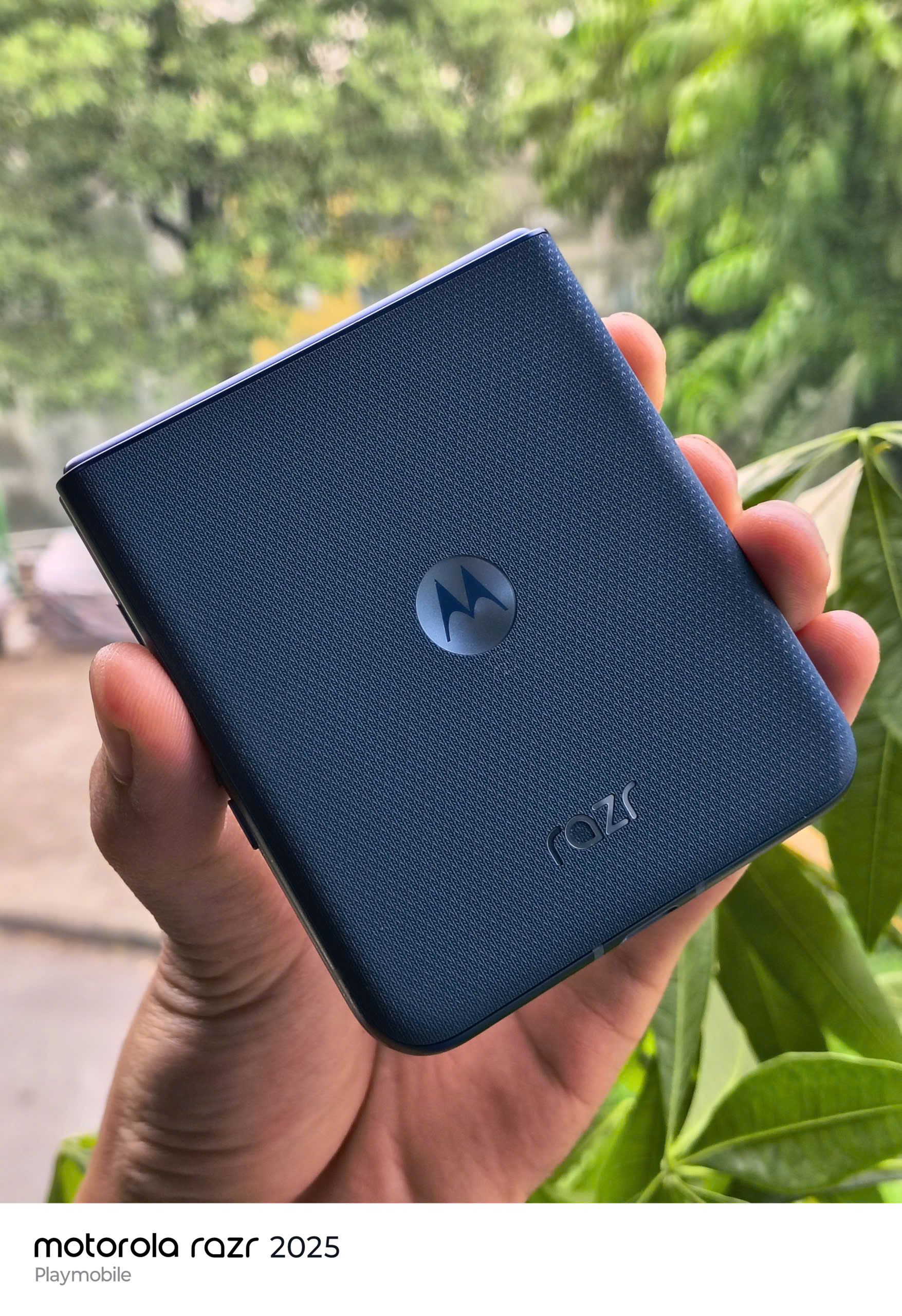 z7001539115003_55f8d511e0c4f5388dd50375c9b78065