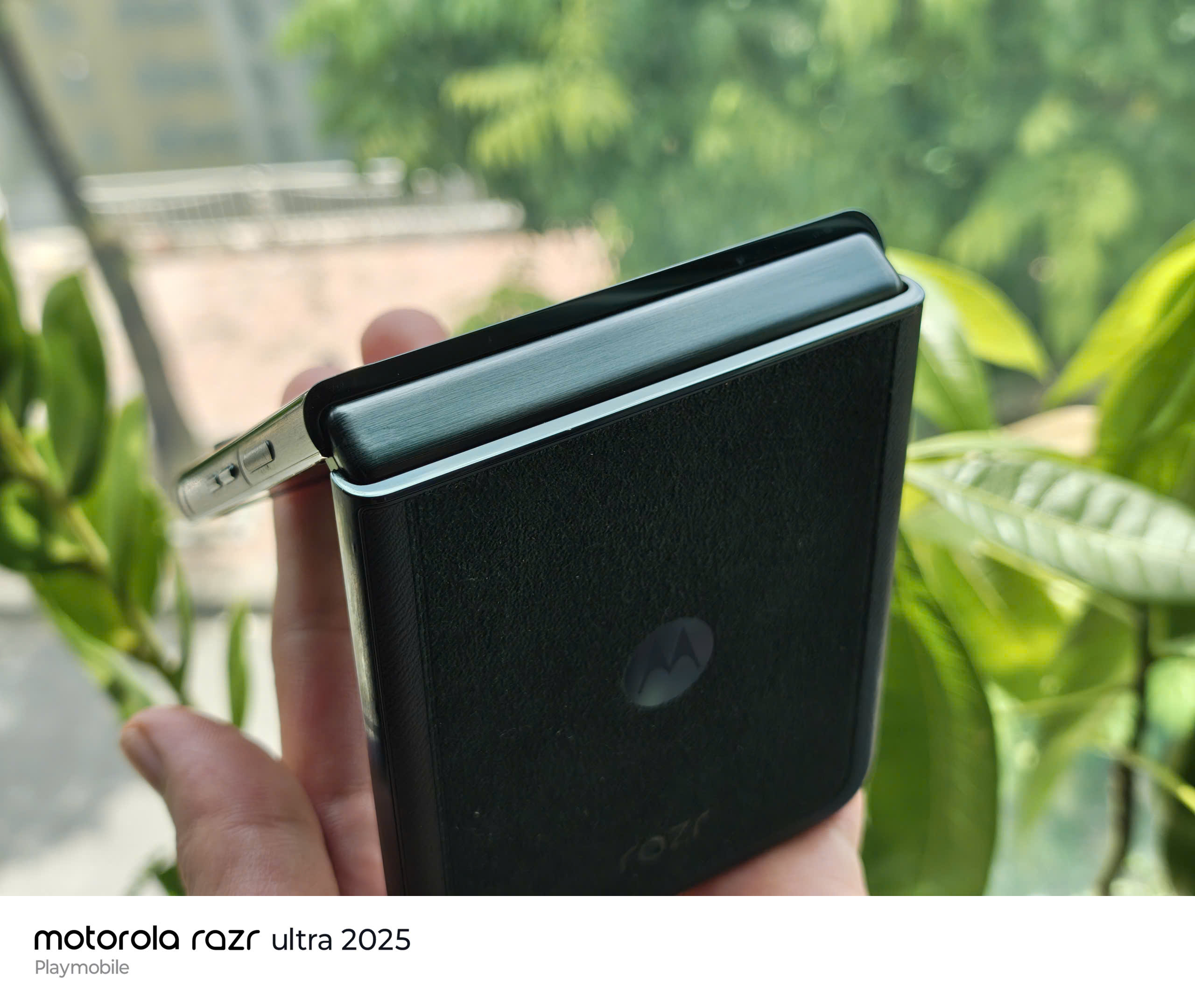 z7044858397960_c14c360410aed8e903cd13a70e11e773