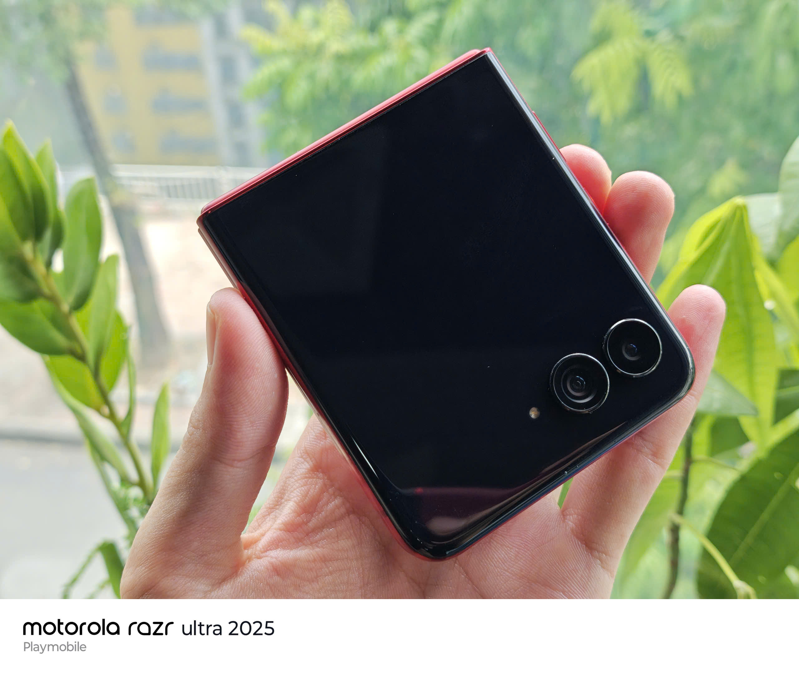 z7044858408440_7246b3b4fada6ad080834a32f83c58d5