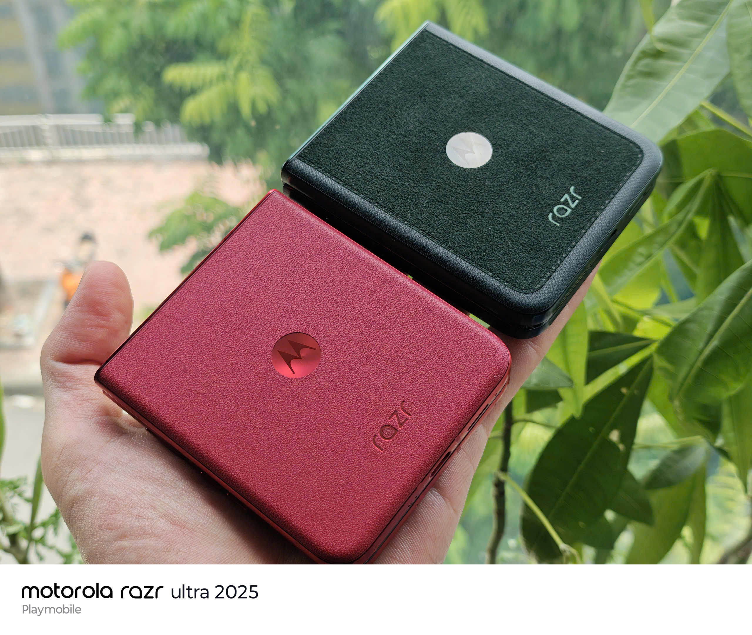 z7044858422206_9176ed1bc9d2c5b1188680389b074fd7