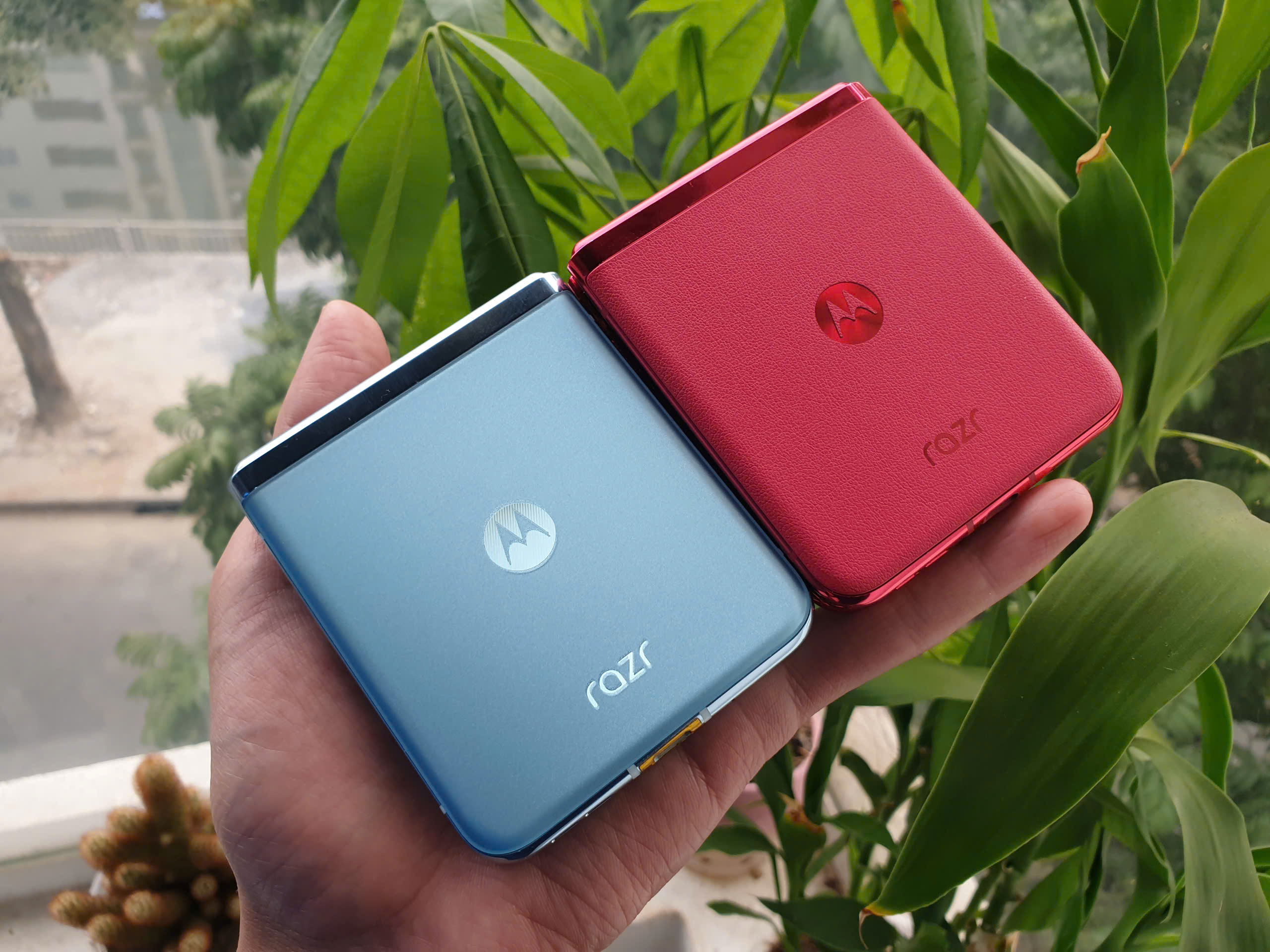 z6184036584189_972a0b70e6a8f063cb46dbcea7a79143