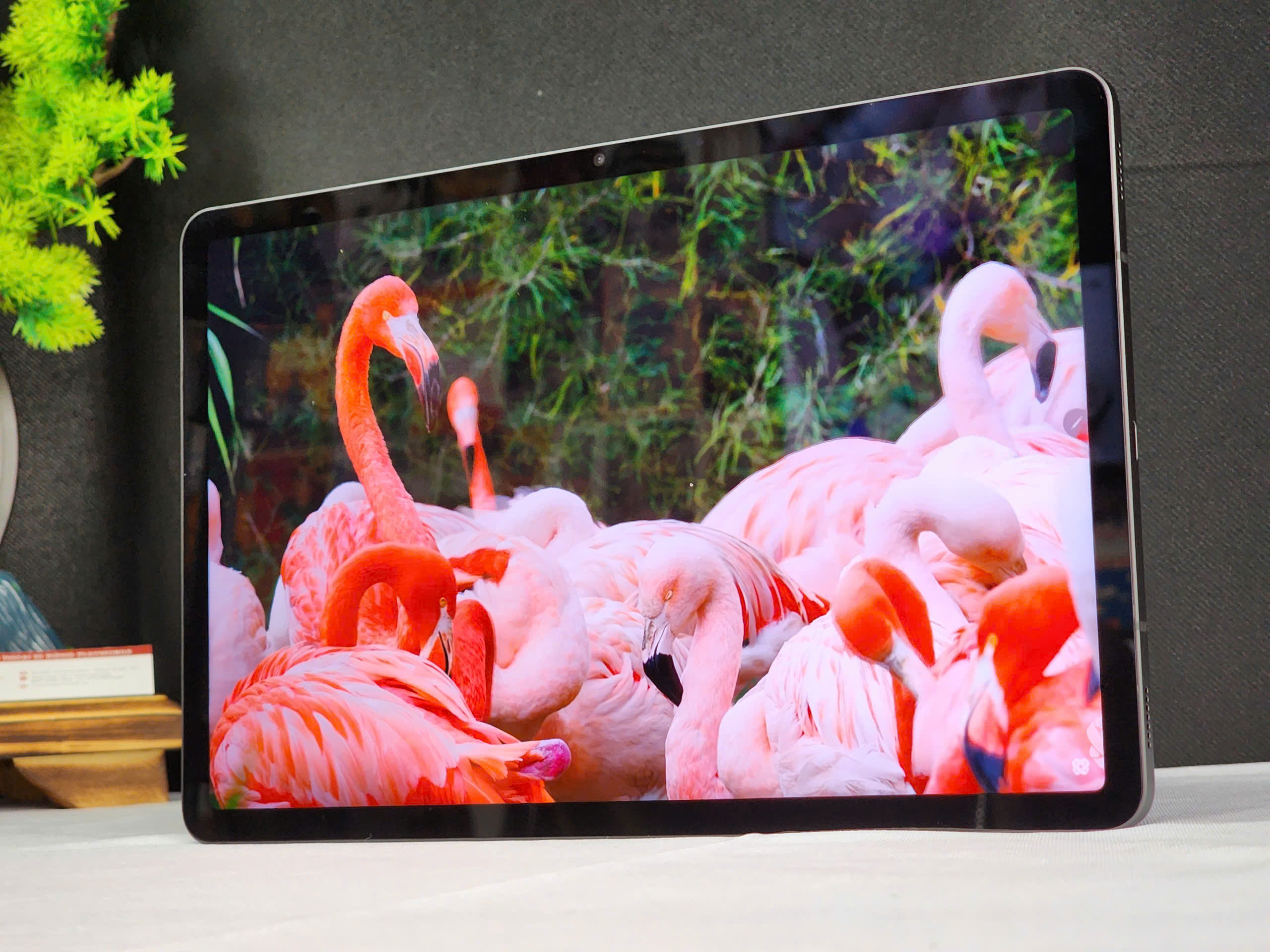 z7174716794819_f6daaf23b60b1f036e8f086a6d748678