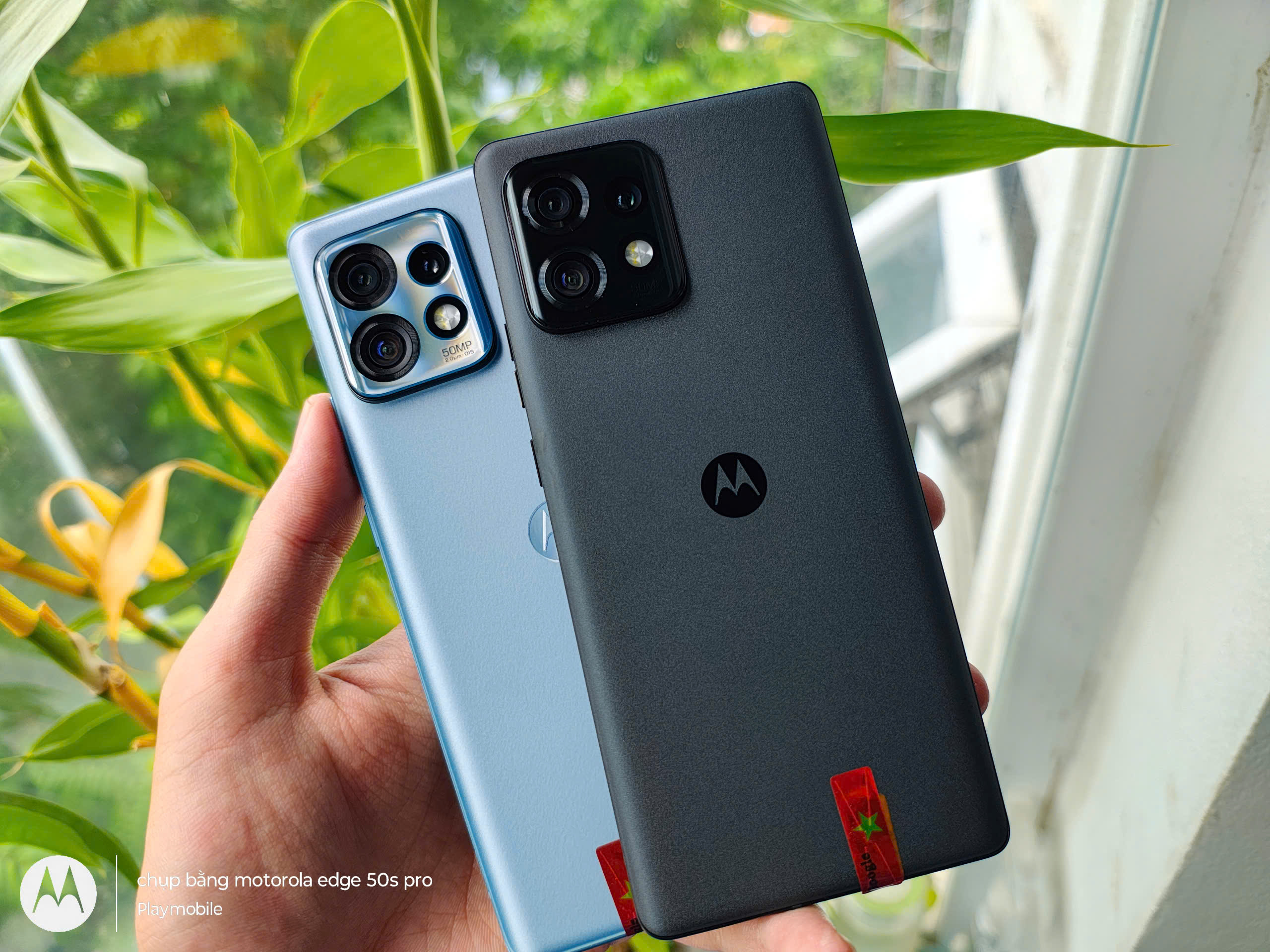 z6747425339645_80efe780d236f66df61fe2d0e966eaf7