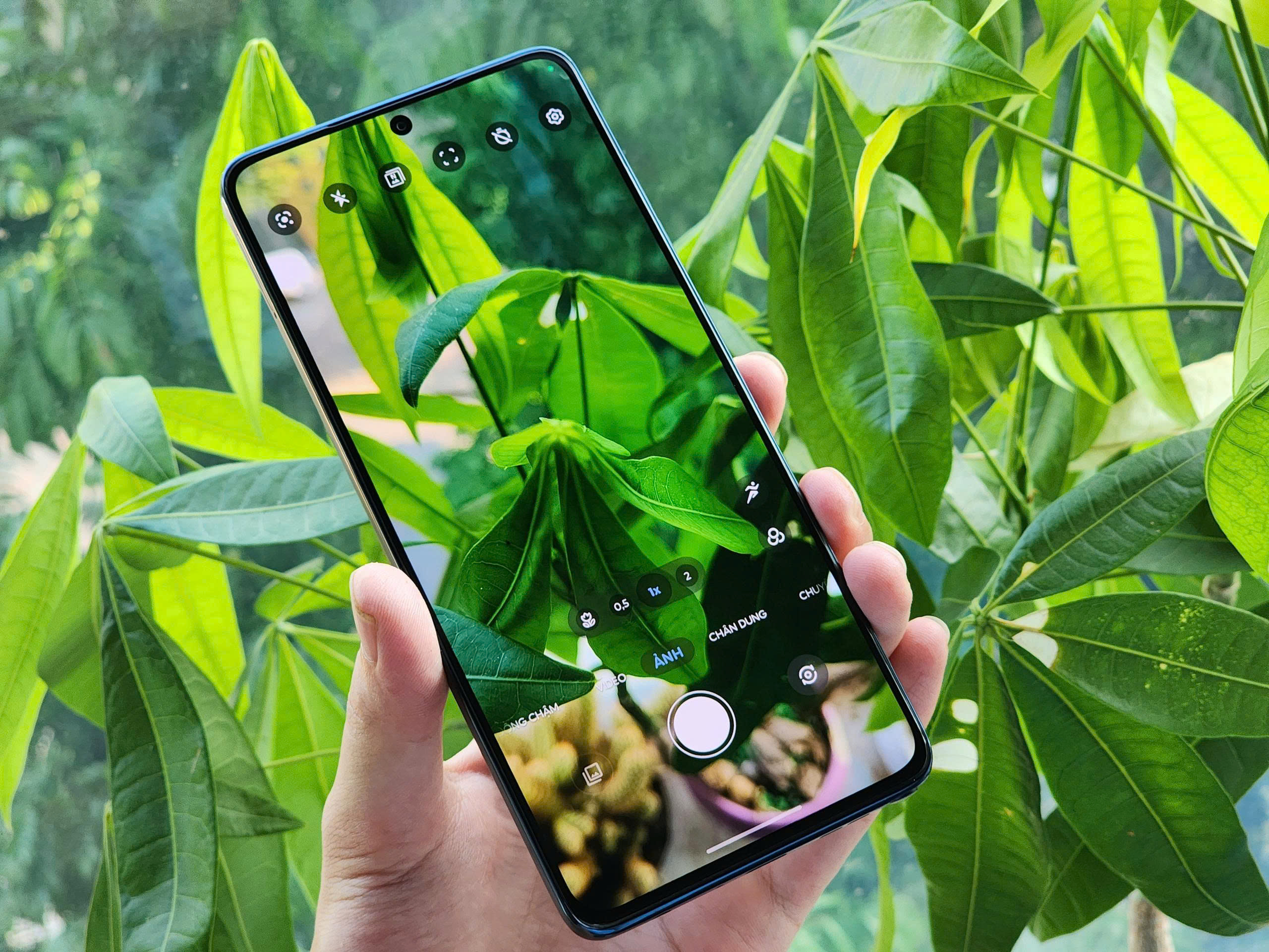 z7230188559206_4dee7a8c0737c1c886a6a7a61d8ad9a2