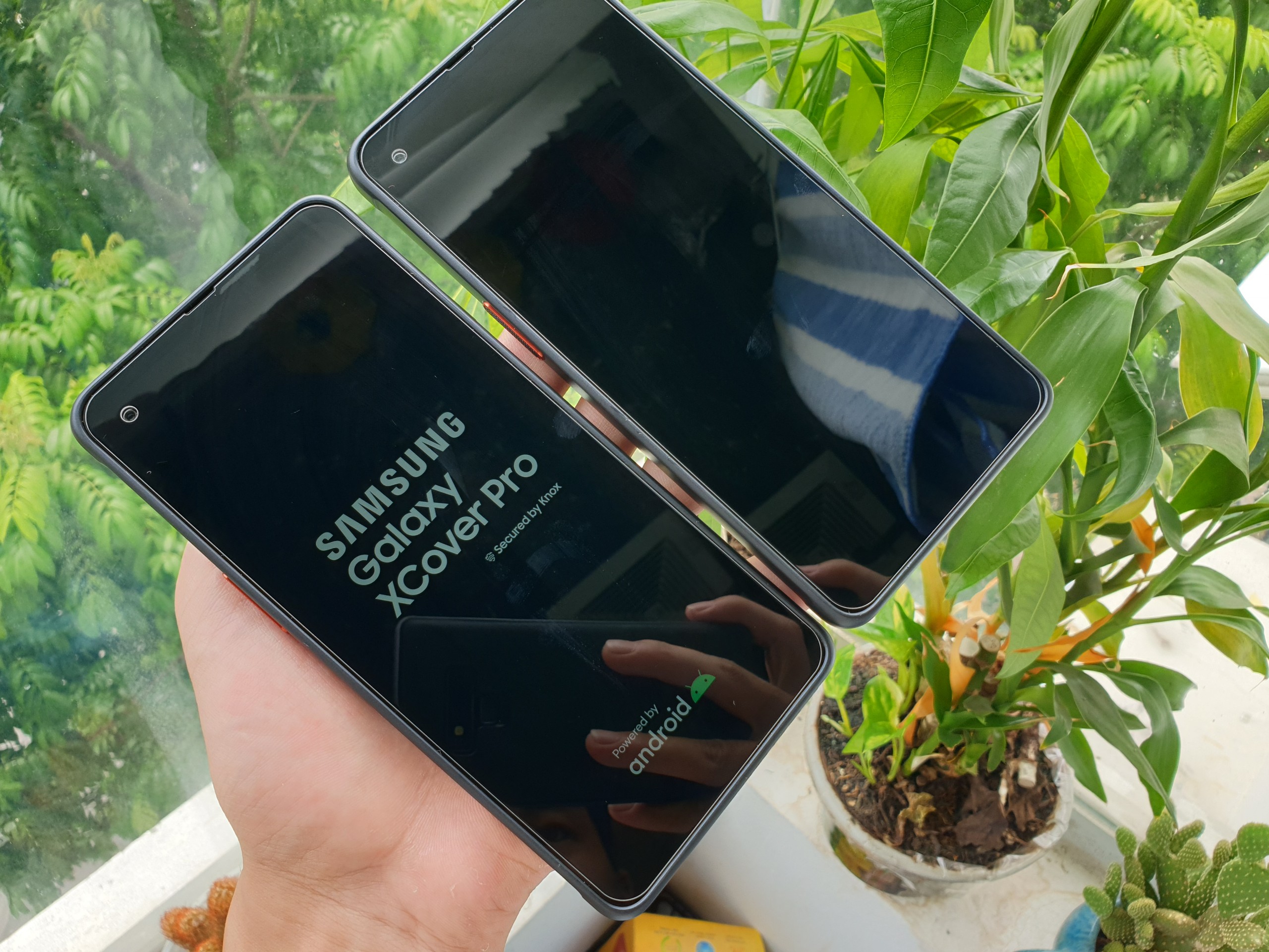 z5726413597571_007a68b74012fc51fee5f1a05ac112e0