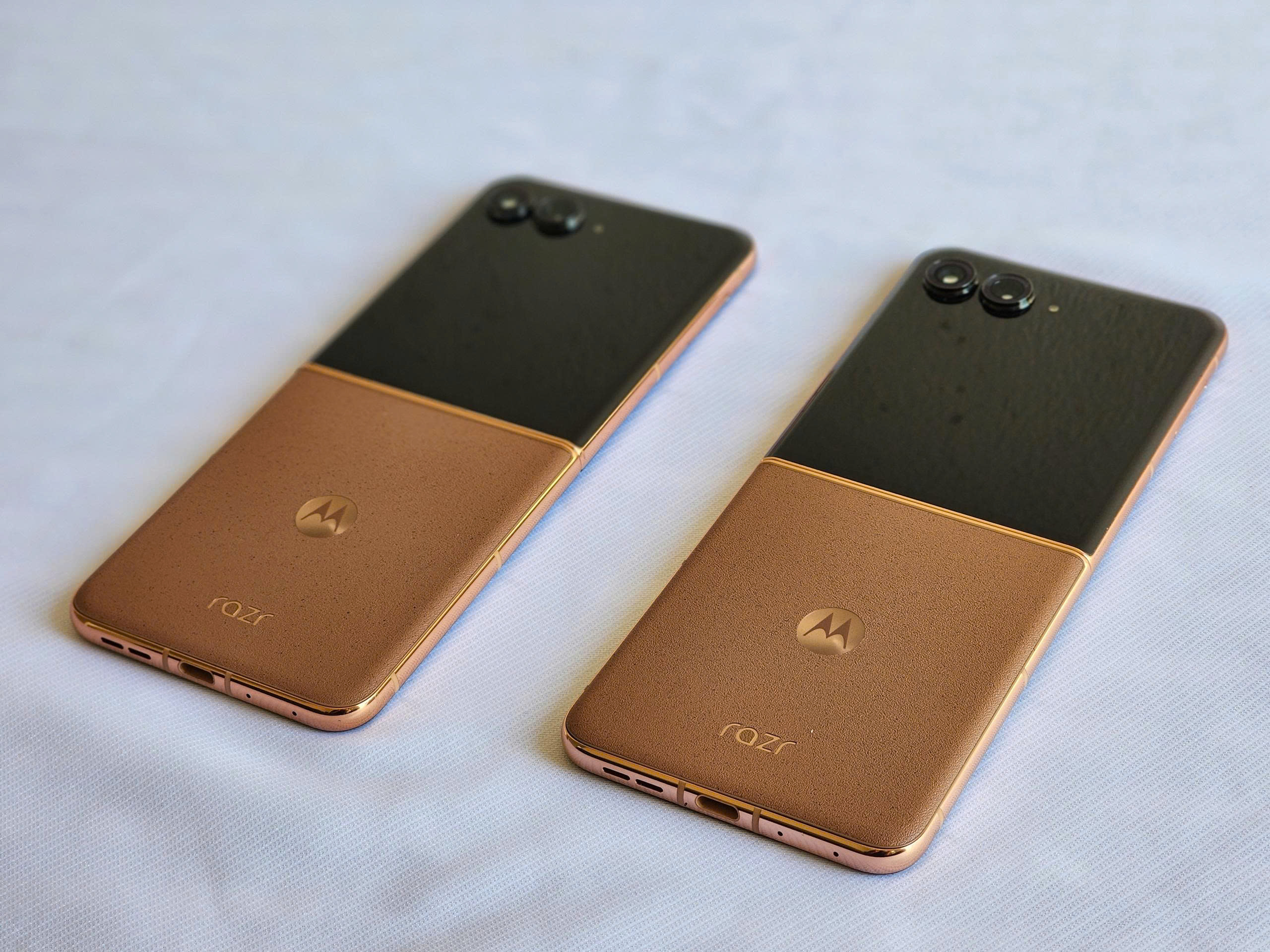 z7247921522269_420e1a9b4ad2b92ab1cf7409079719f0