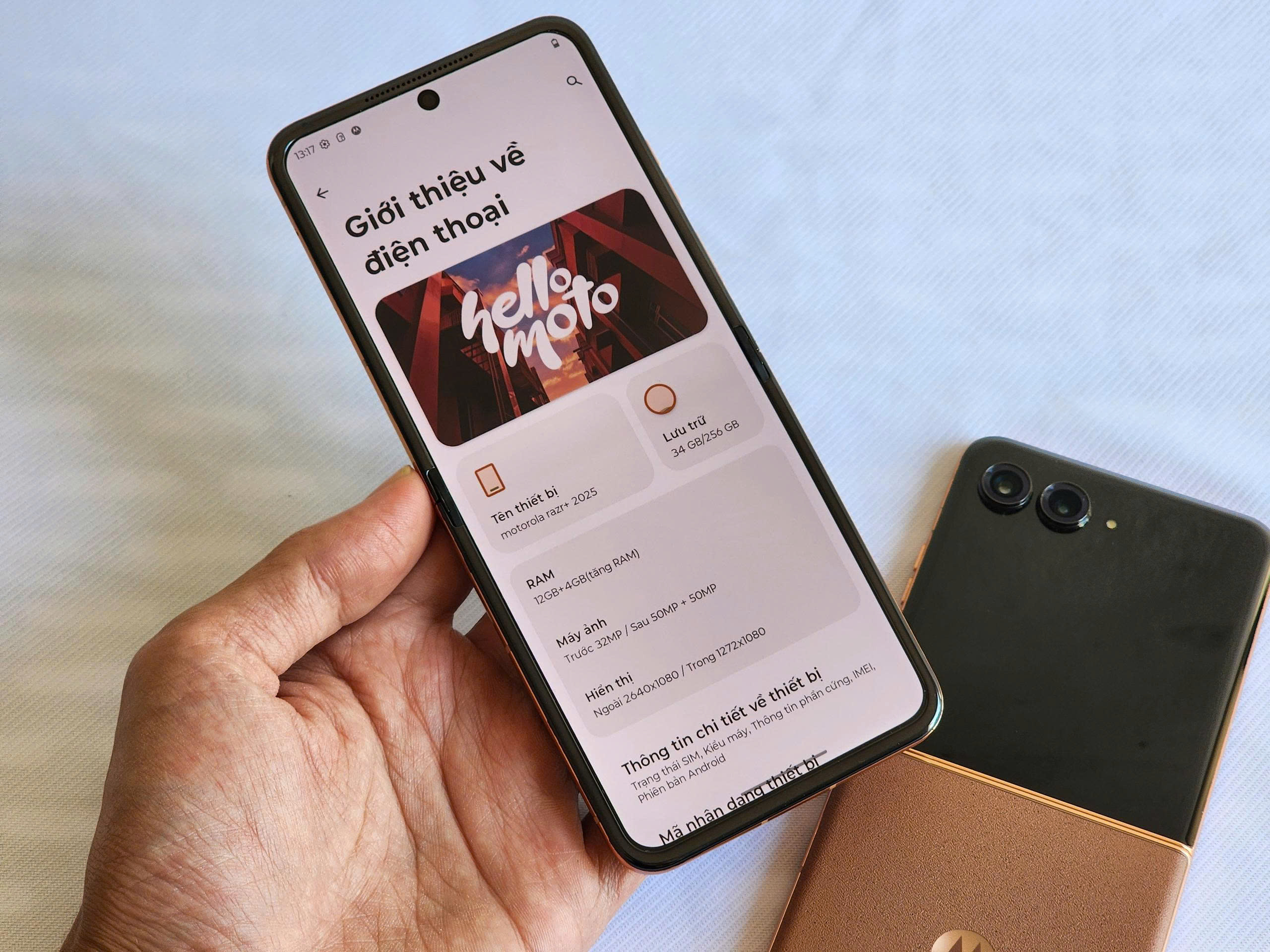 z7247928659904_085691fe7d7fb6e32a0aac6593afc3a5