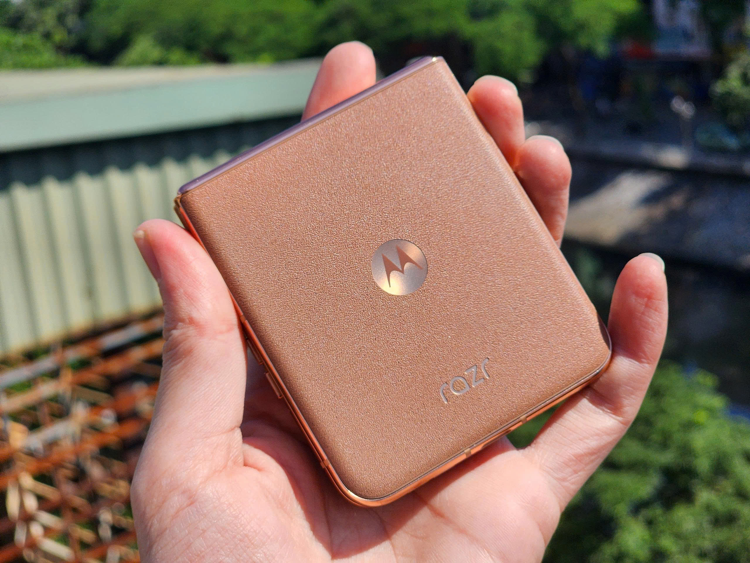 z7247929307540_1ba0682a614646a11923223cc2bdcfc7