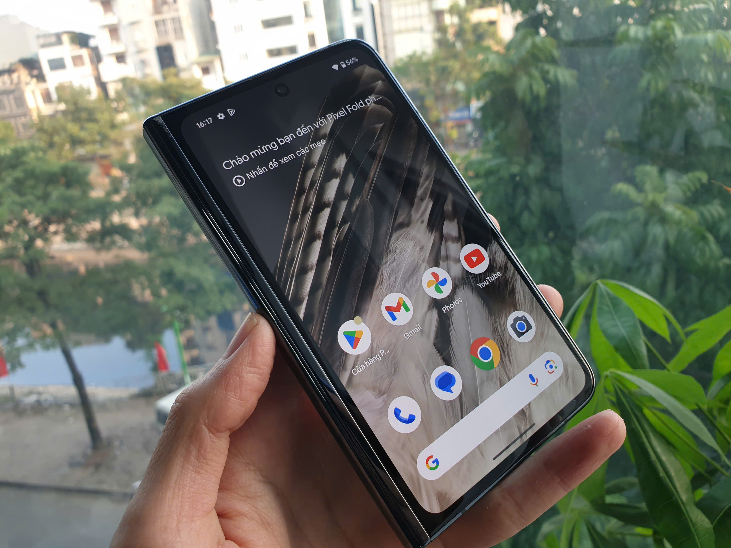 z6136494253244_cb892ad6789a4b94ee30dc12cb55dfcd