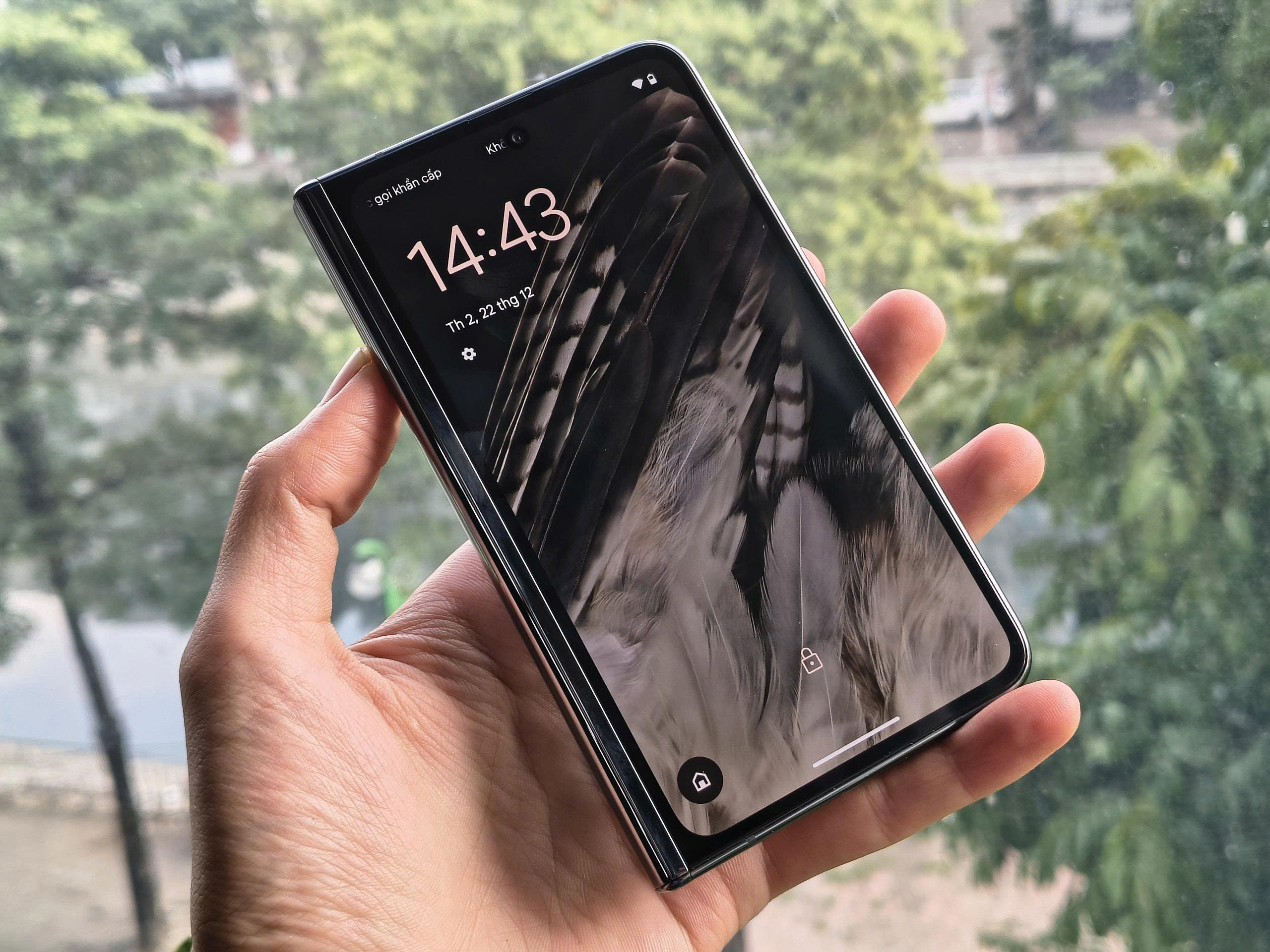 z7353009388690_263b9cc8c8282401889771e5c39efe8c