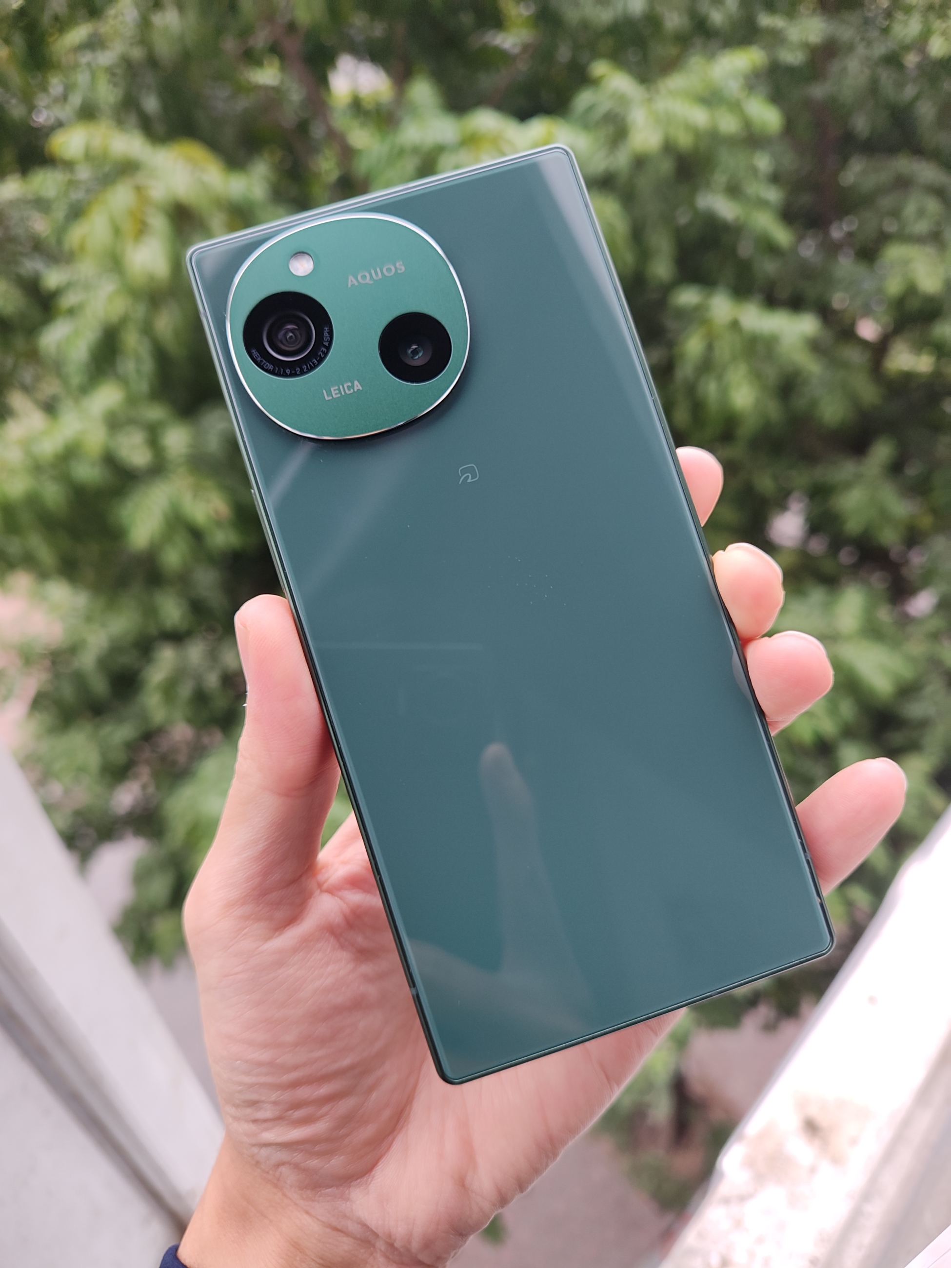 IMG_20260106_102621836