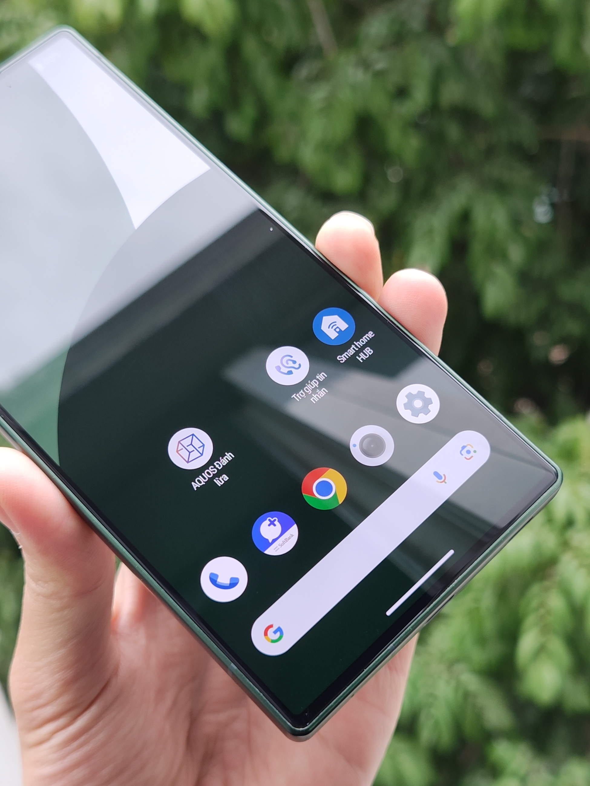 IMG_20260106_102755816