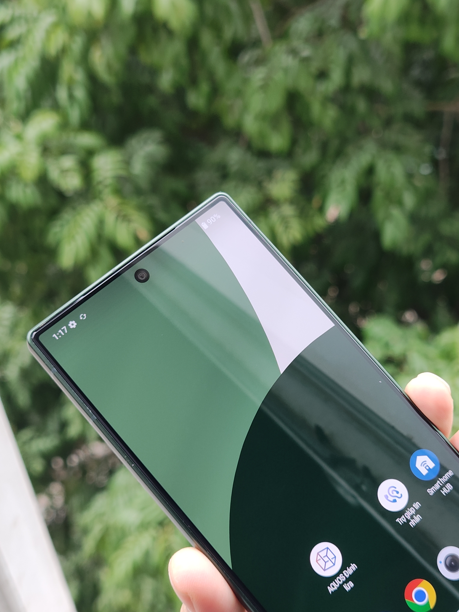 IMG_20260106_102758190