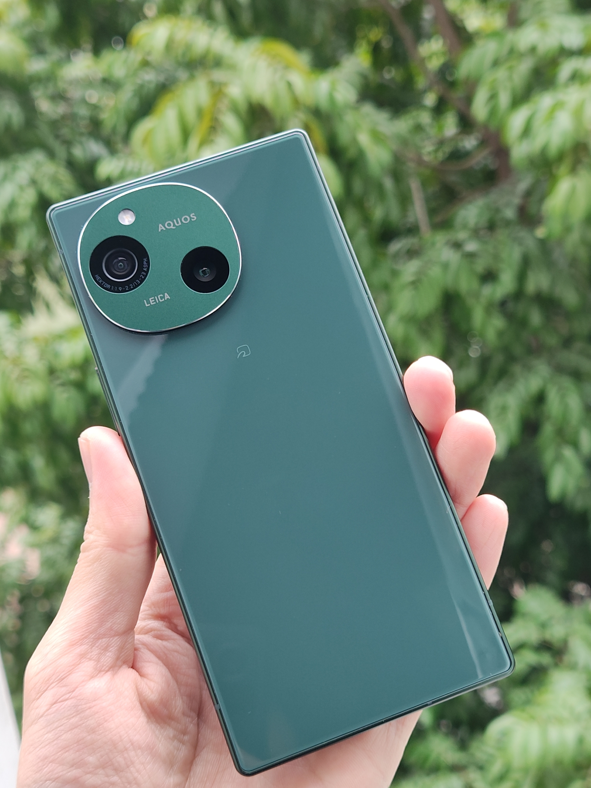 IMG_20260106_102828491