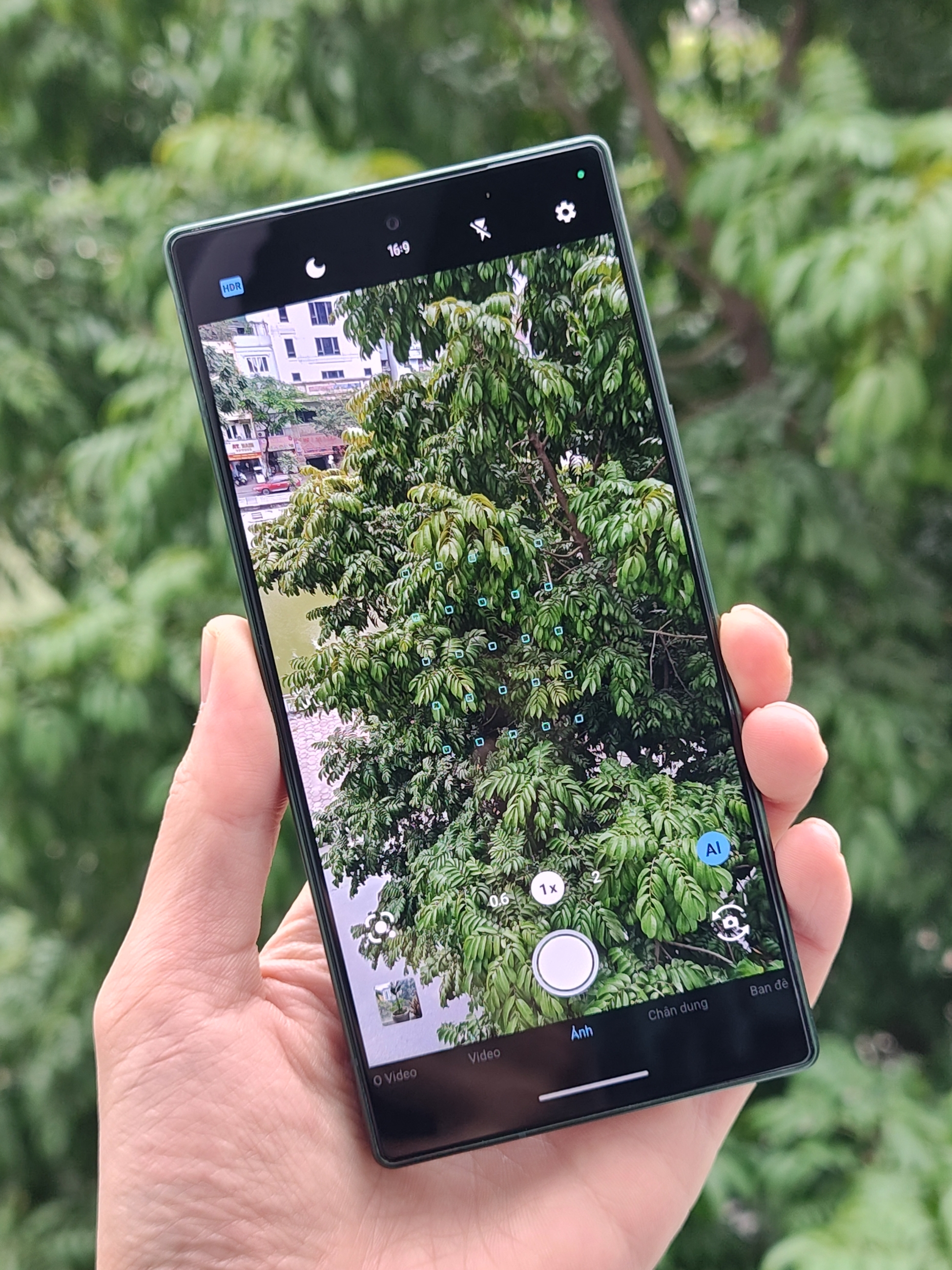 IMG_20260106_102903734_HDR