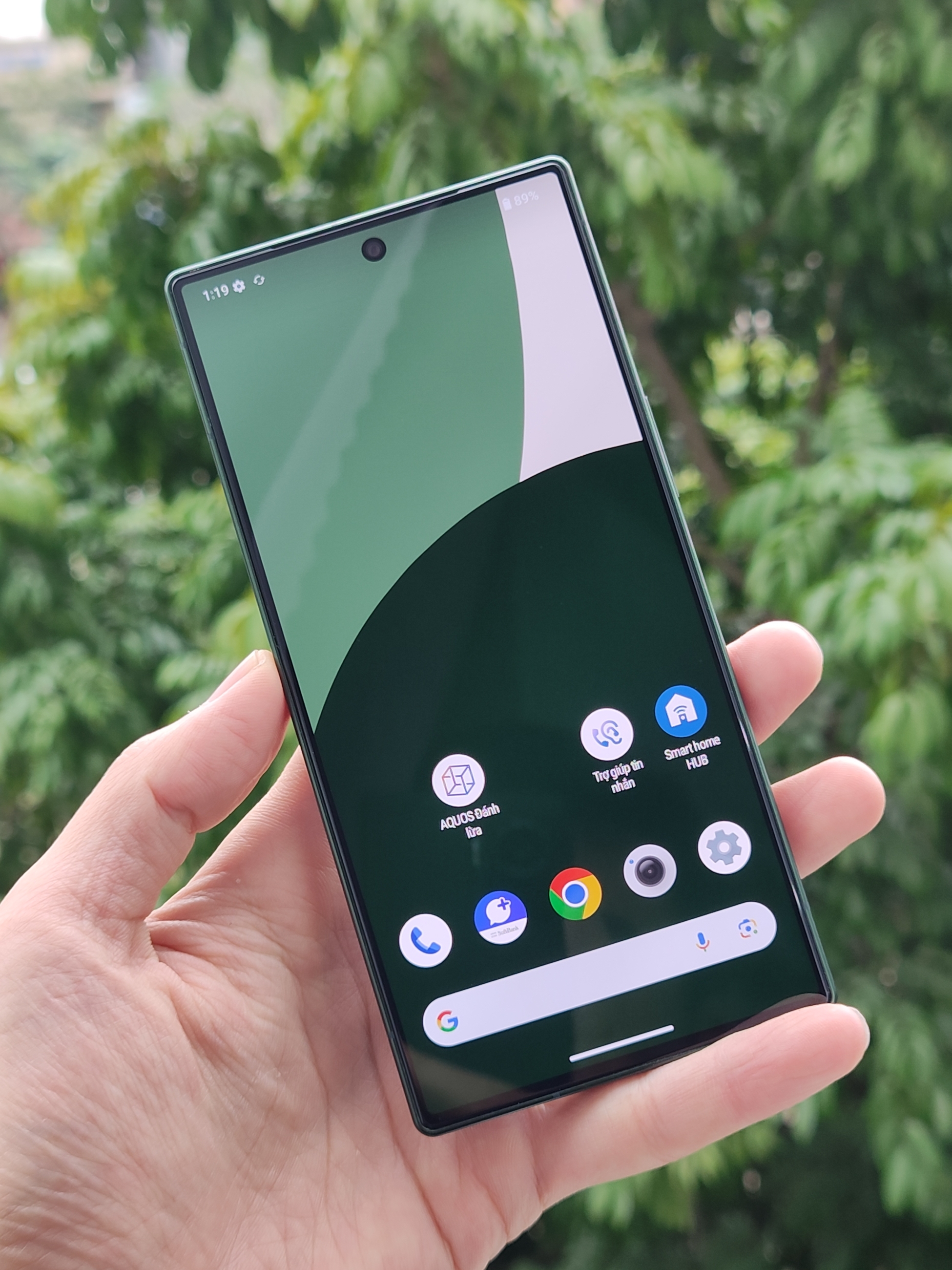 IMG_20260106_103026649