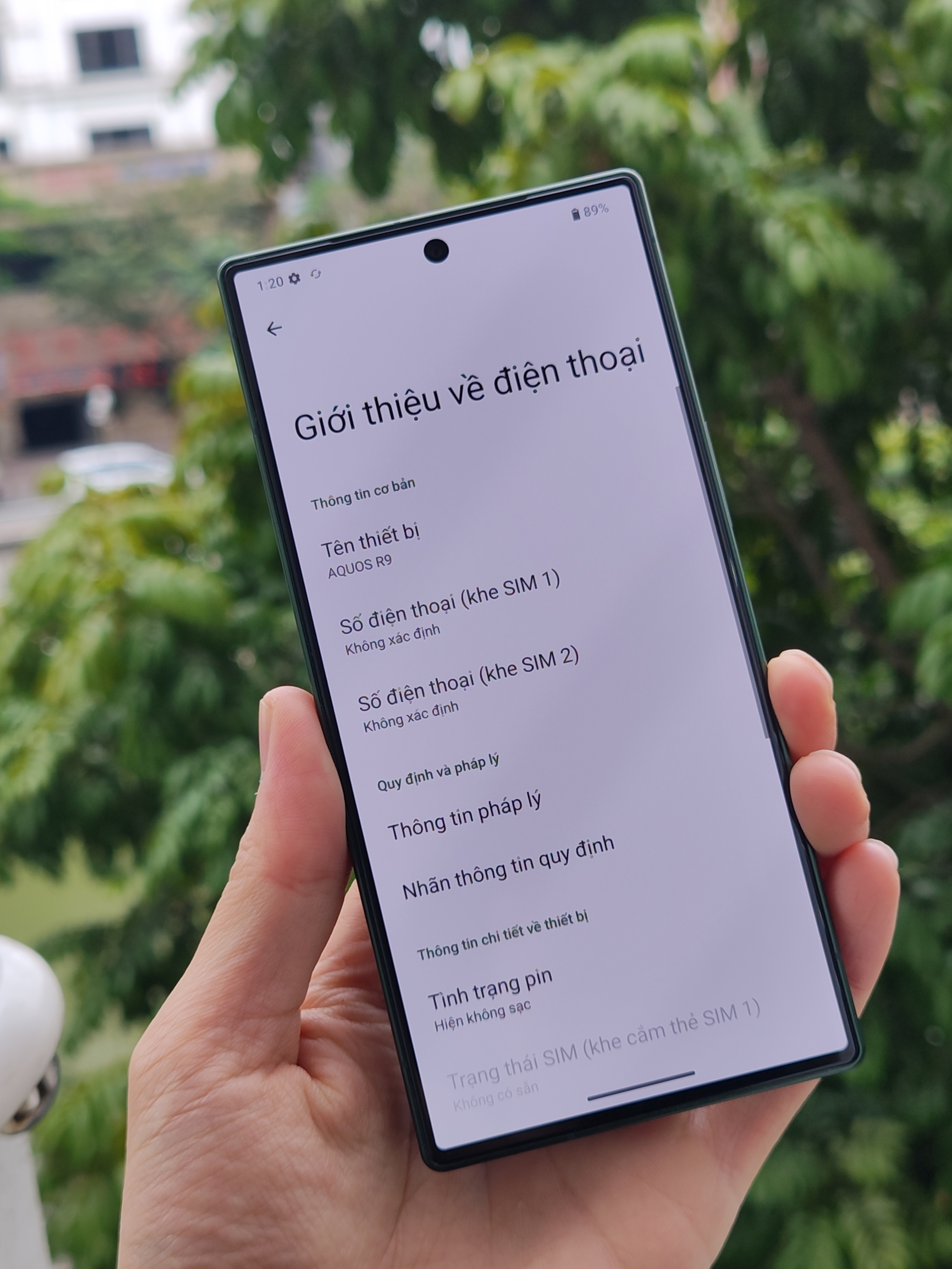 IMG_20260106_103045586