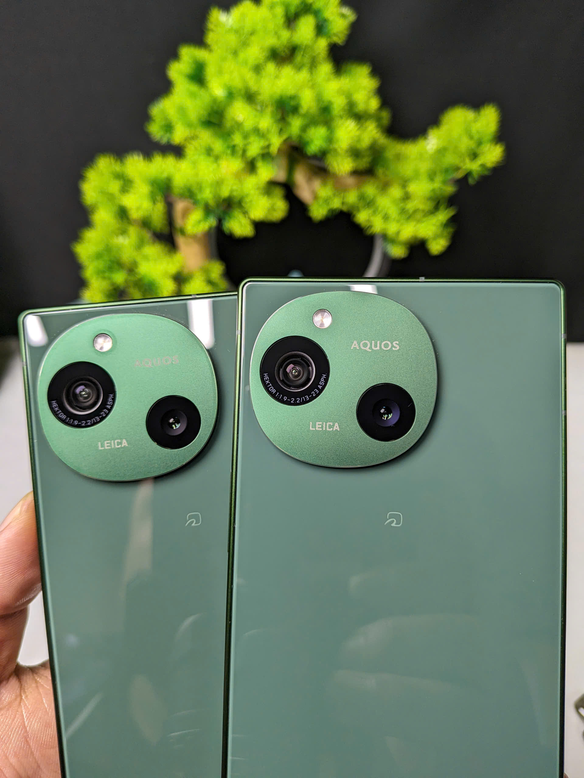 z7400398047281_510d6a65e47697340dd2fc5cc8027d8a