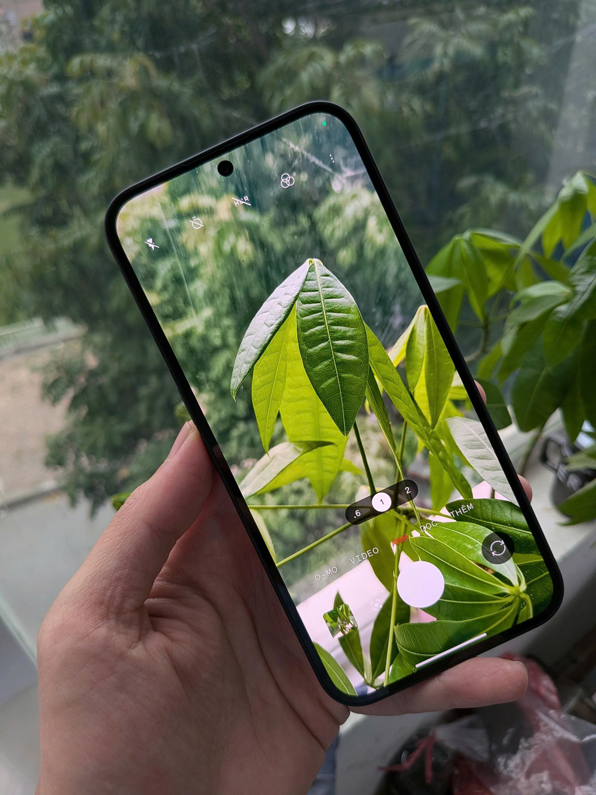 gen-h-z7599687186721_b91af4031bc139cfa58a6cb7a9414781