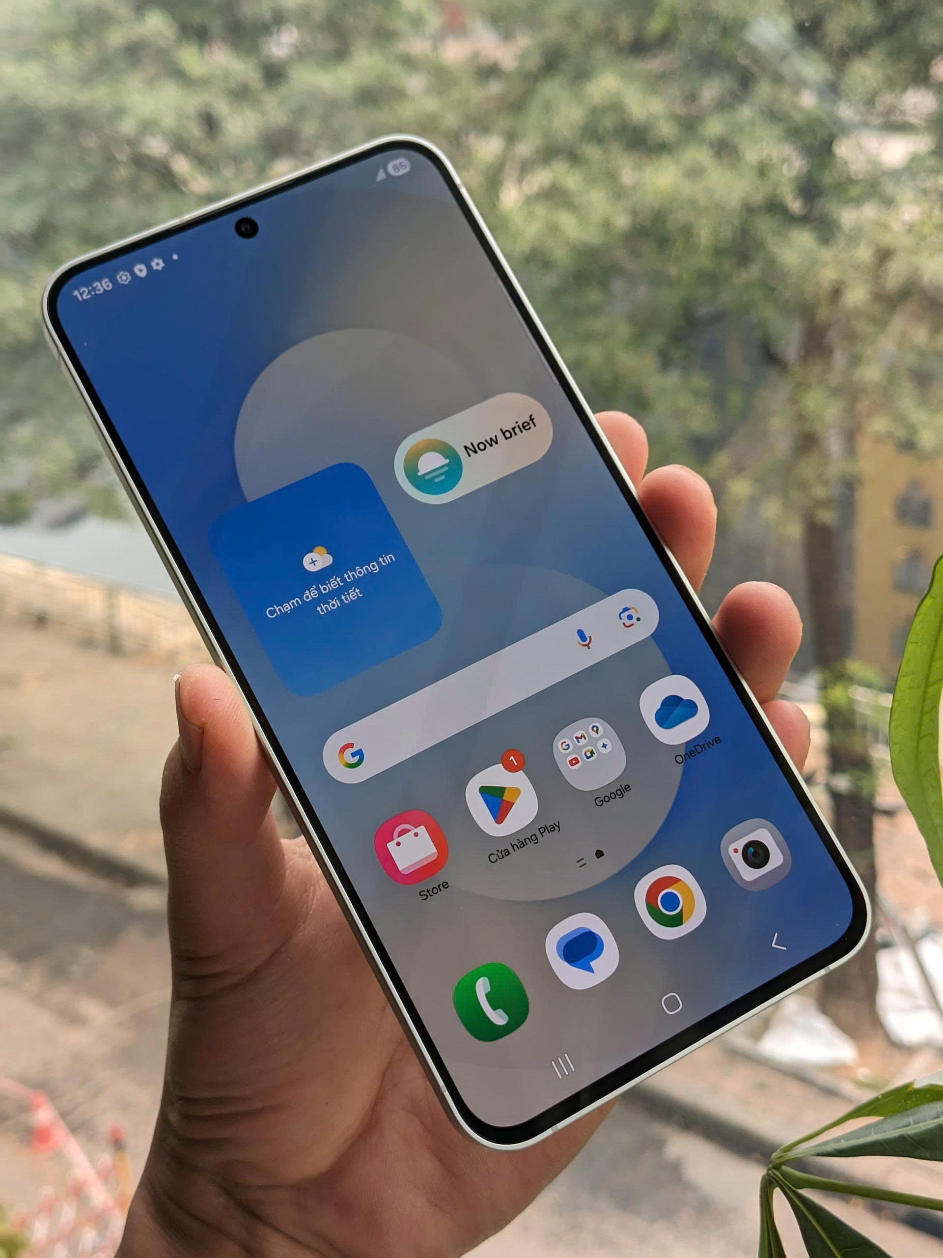 gen-h-z7696441103502_c819ba055c615681d1e4ca0fc6021e1b