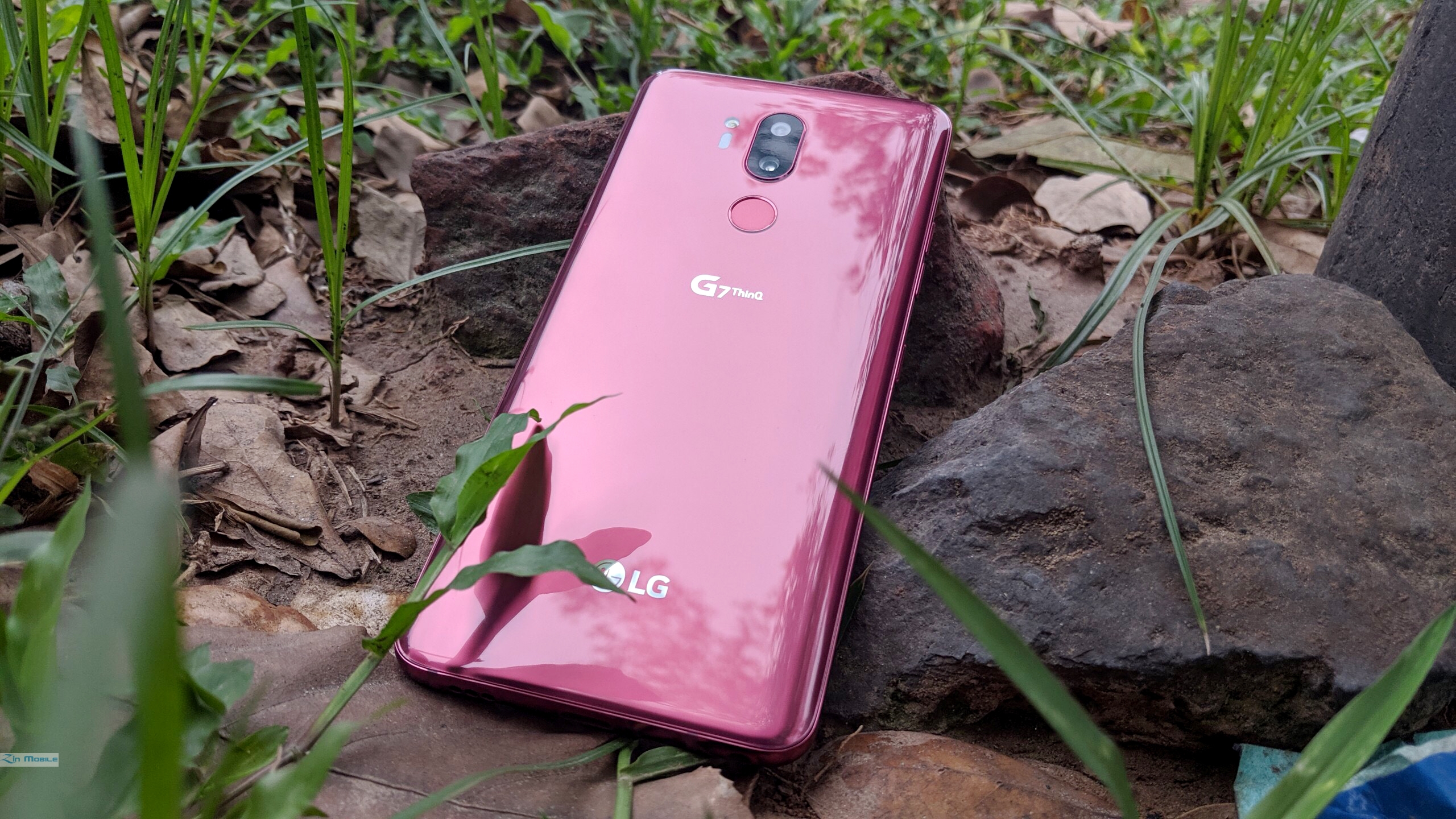 z1785585068957_9249da96cb73160b5af5fe9deb8afb2d