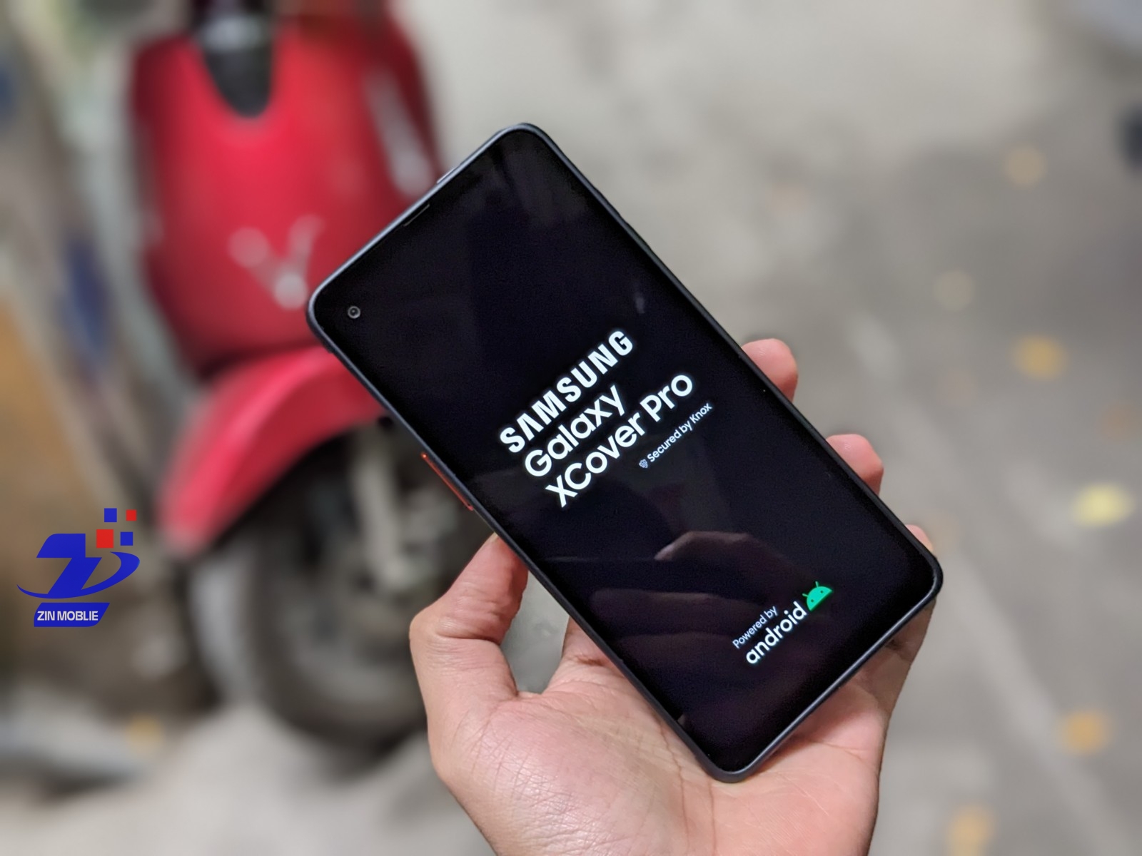 z4226164640433_cf699044b8b6e2d621c6ba0a17e5364f