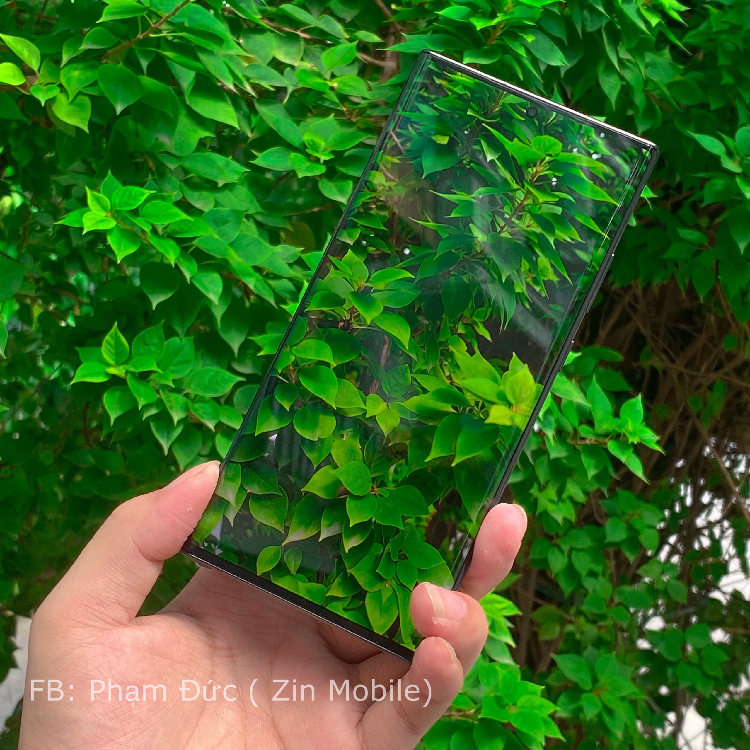 z5569910325368_e404b04c148f1dd2e8733cae68694e5a