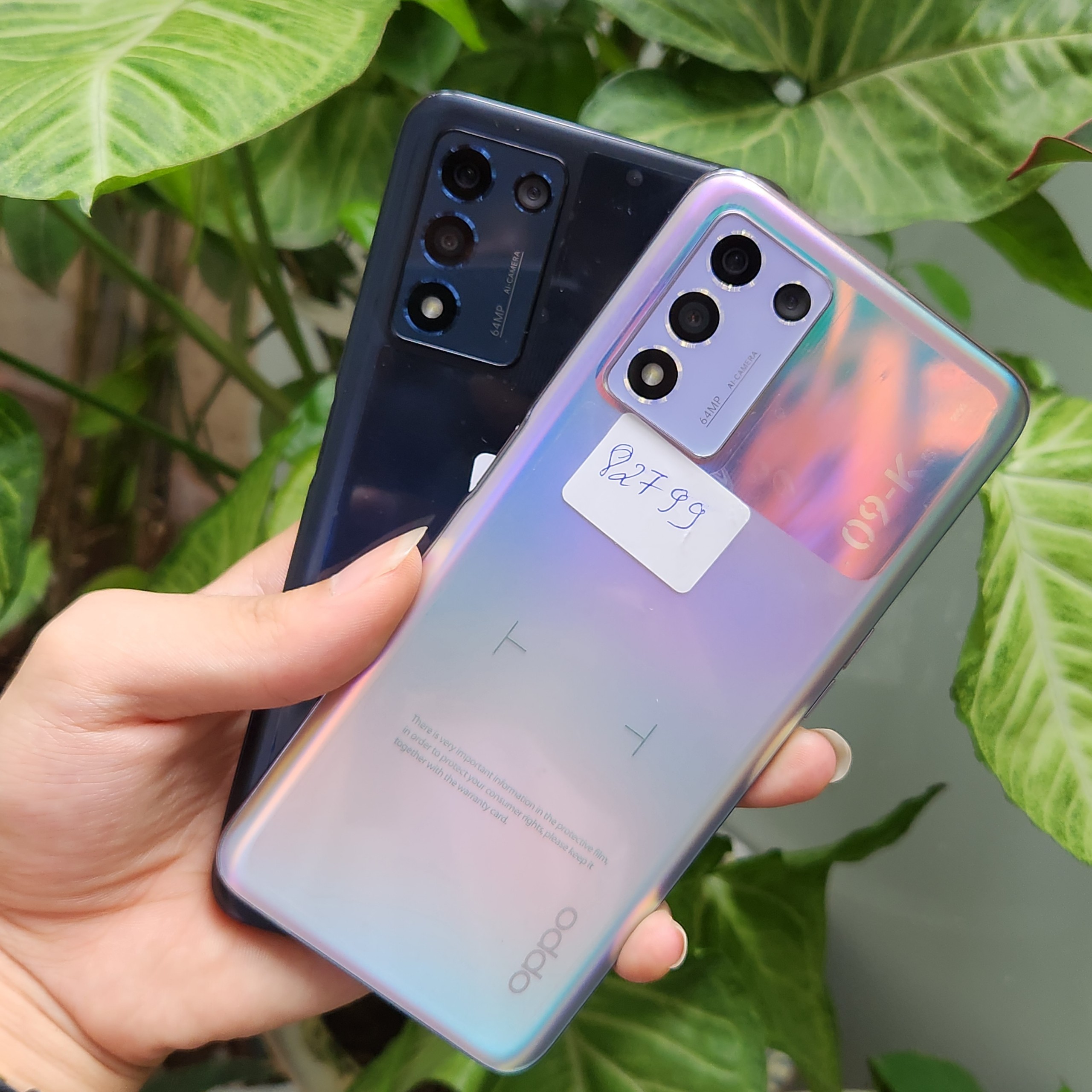 z5676203527471_5624efe905fe292f276d90a8ab9a3a36