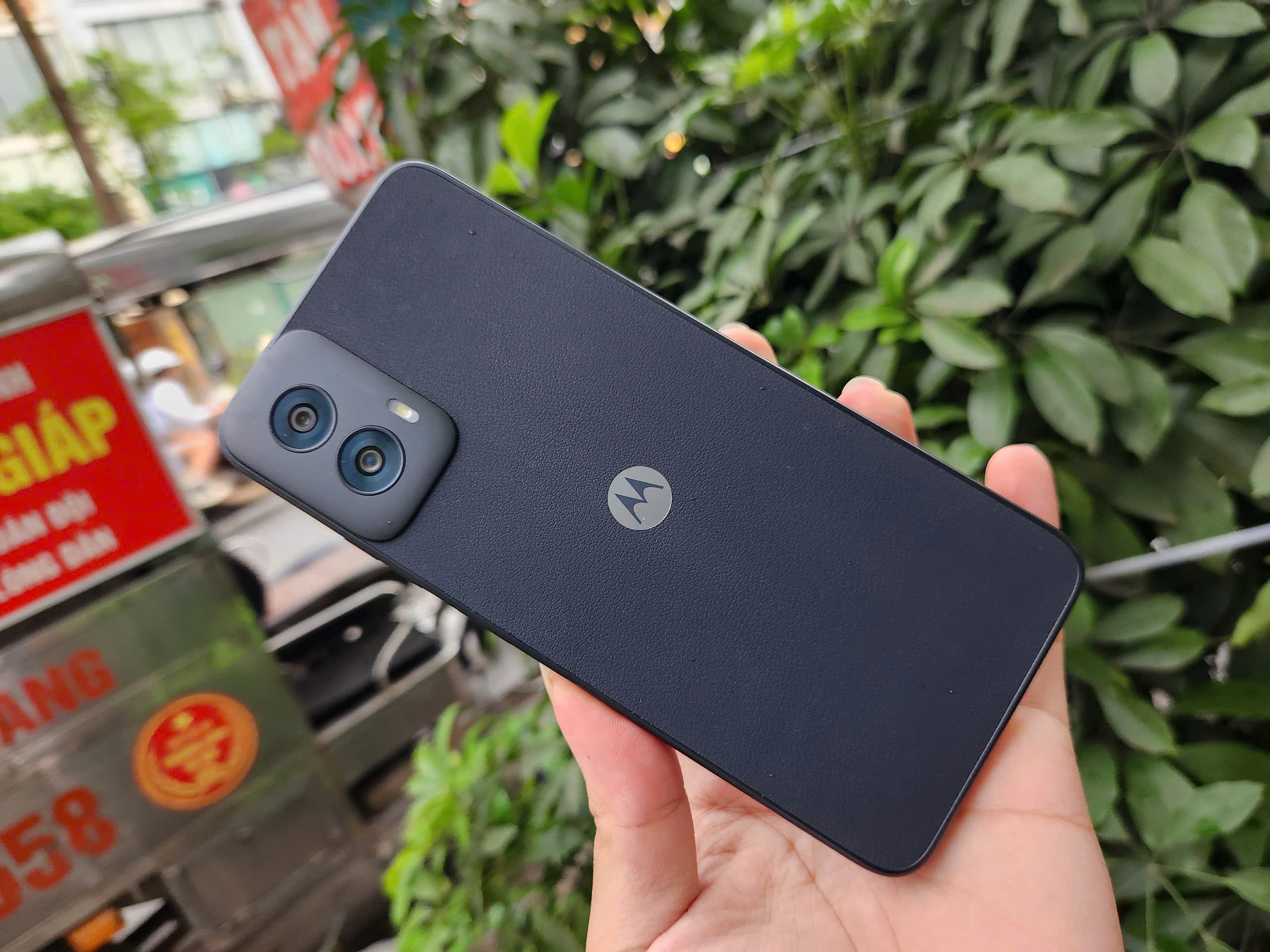 z6614207819275_98c8bd9ebd057263ee144a1946a7a458