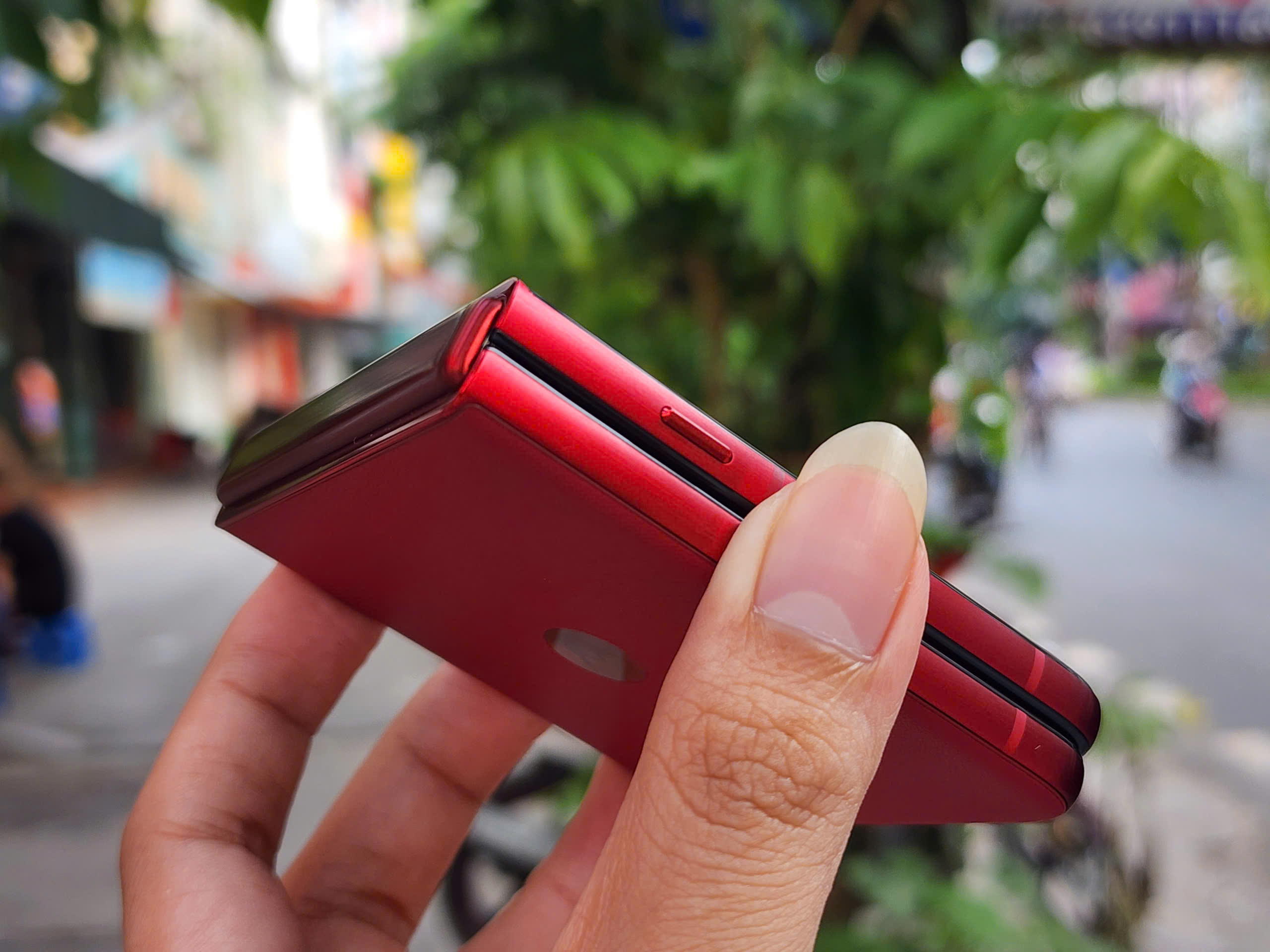 z7083818011156_d5536eab562730d70019908b0fff22c6