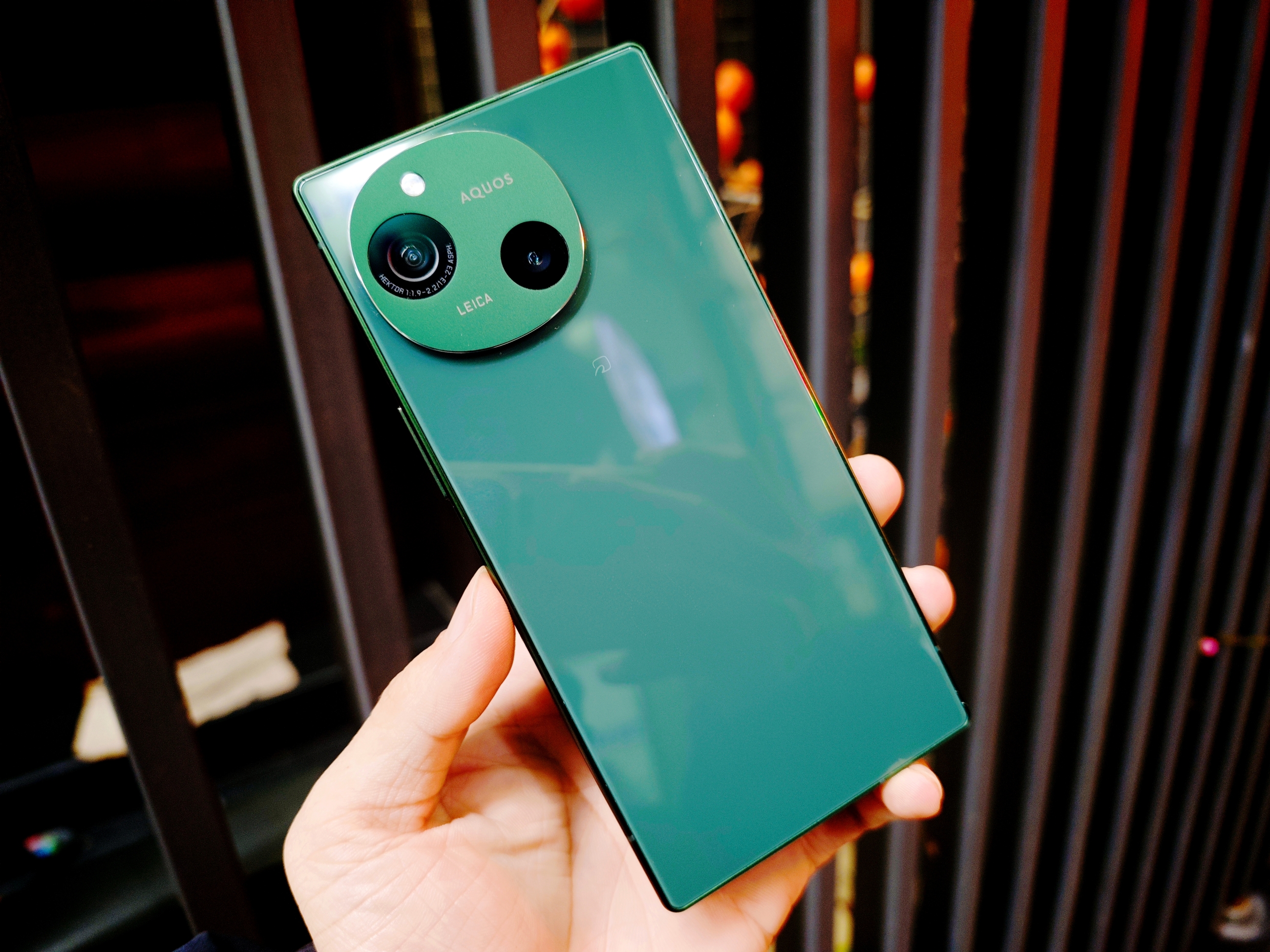 IMG_20260106_155005_1767689943934edit