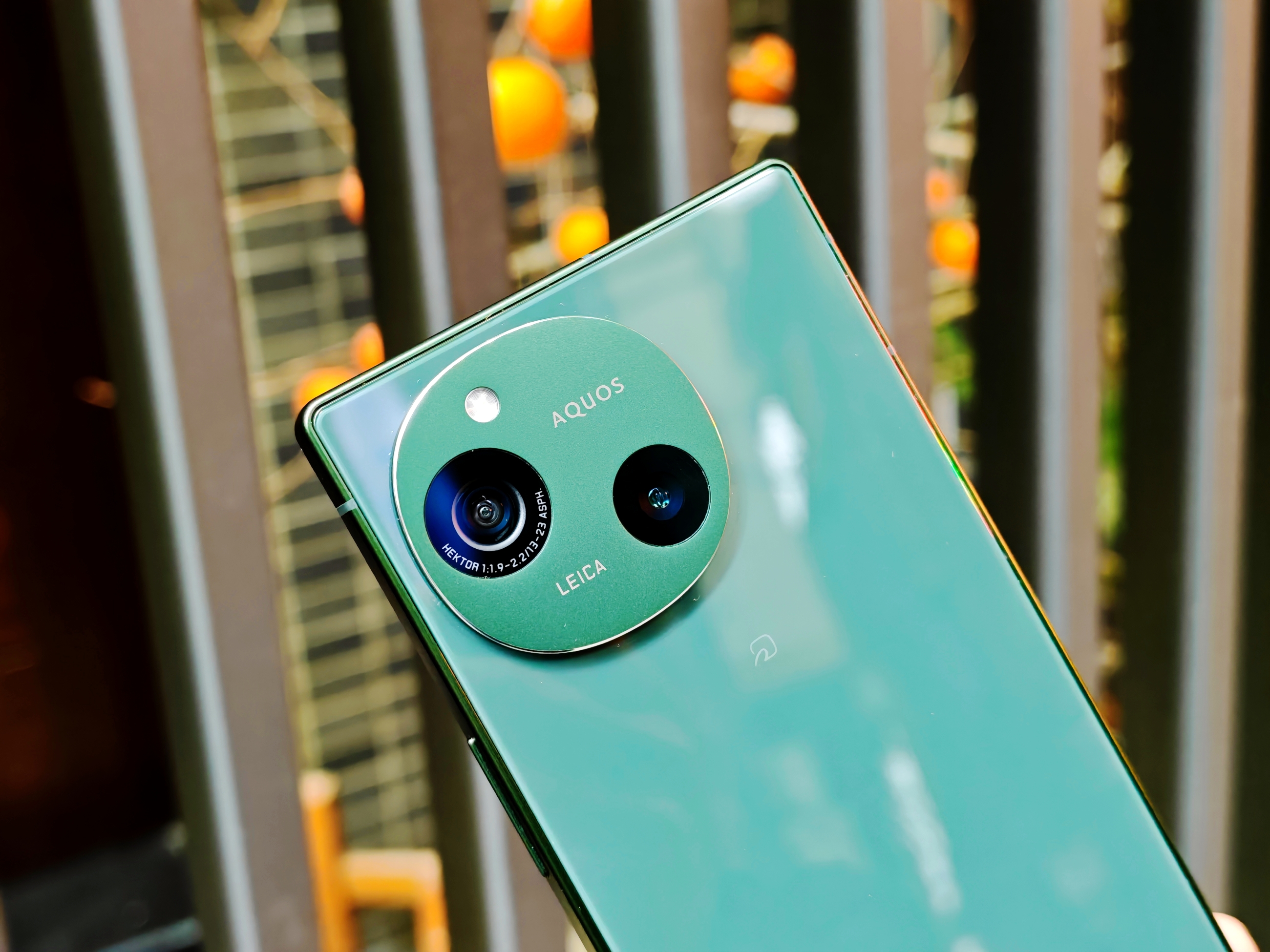 IMG_20260106_155103_1767689996937edit