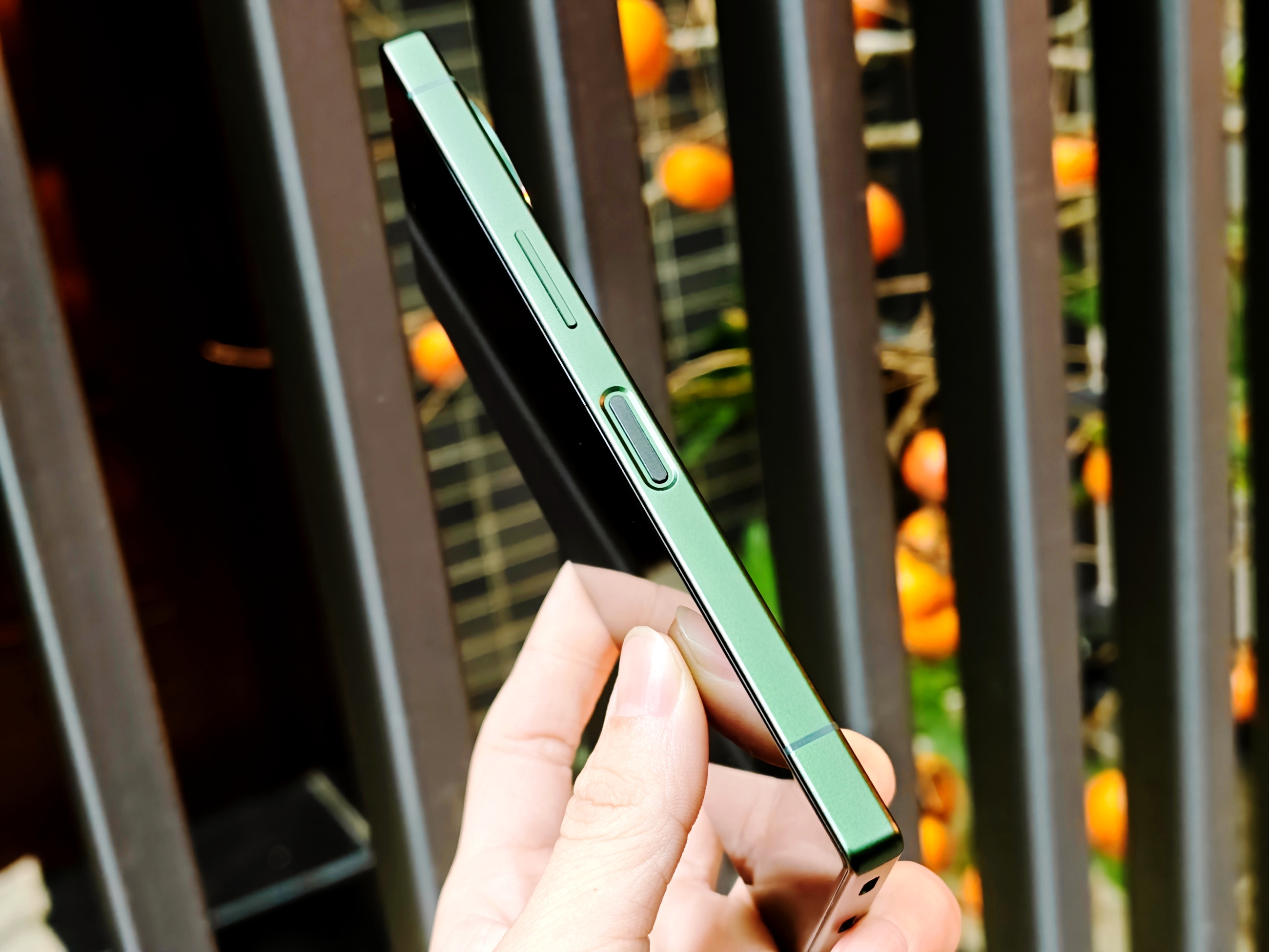 IMG_20260106_155201_1767690025676edit