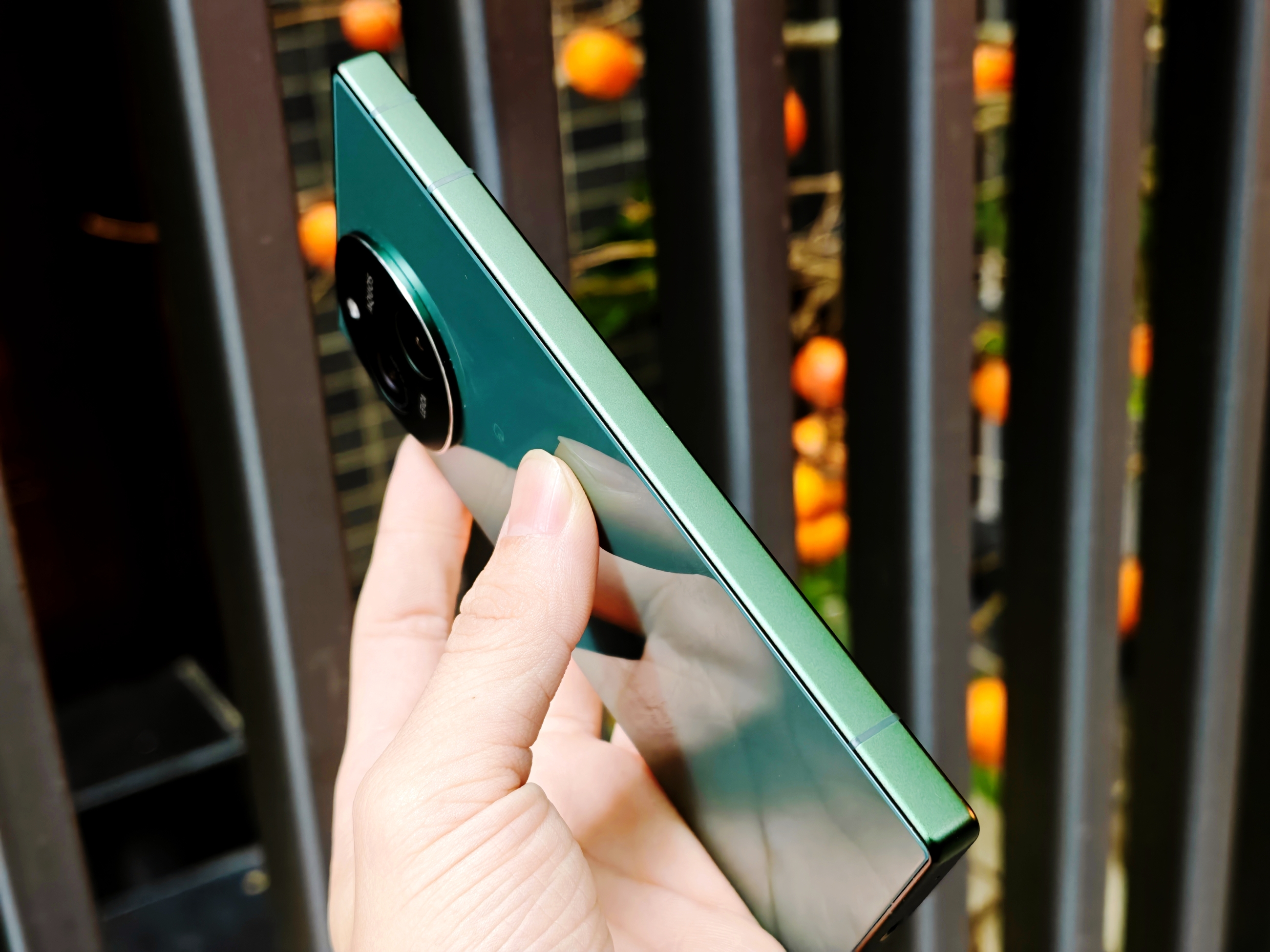 IMG_20260106_155222_1767690041289edit