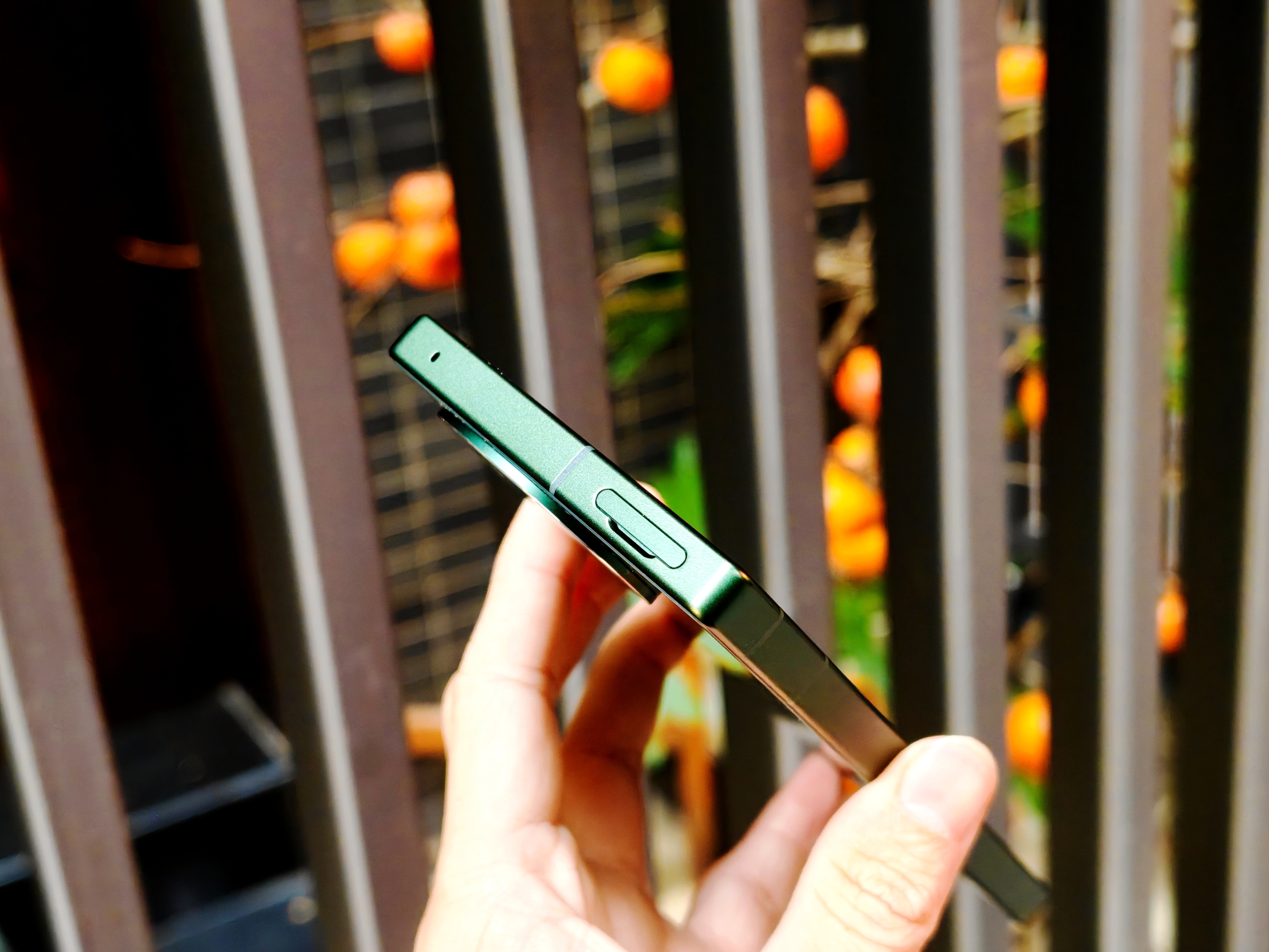 IMG_20260106_155235_1767690050342edit