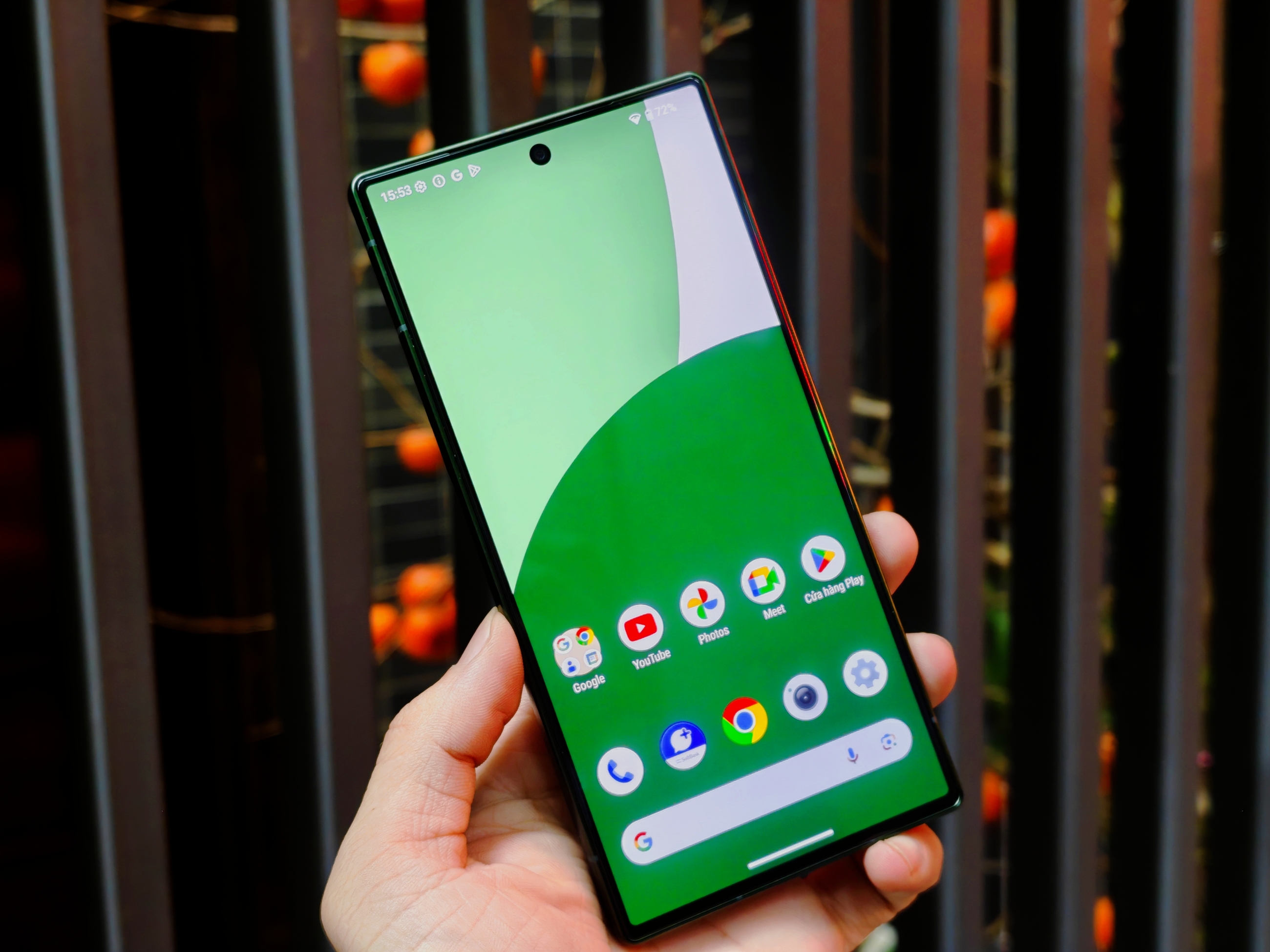 IMG_20260106_155308_1767690332570edit