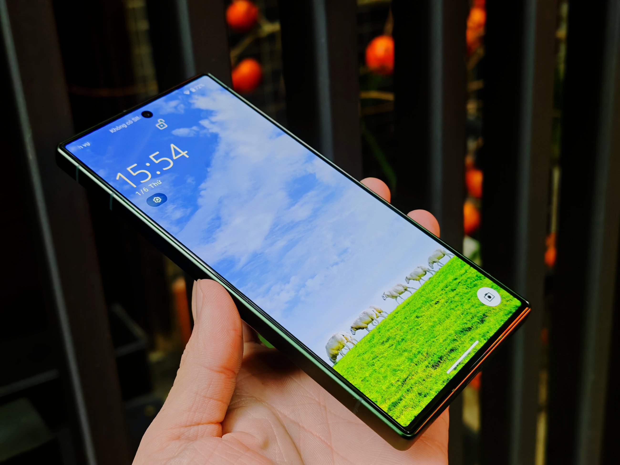 IMG_20260106_155432_1767690369205edit