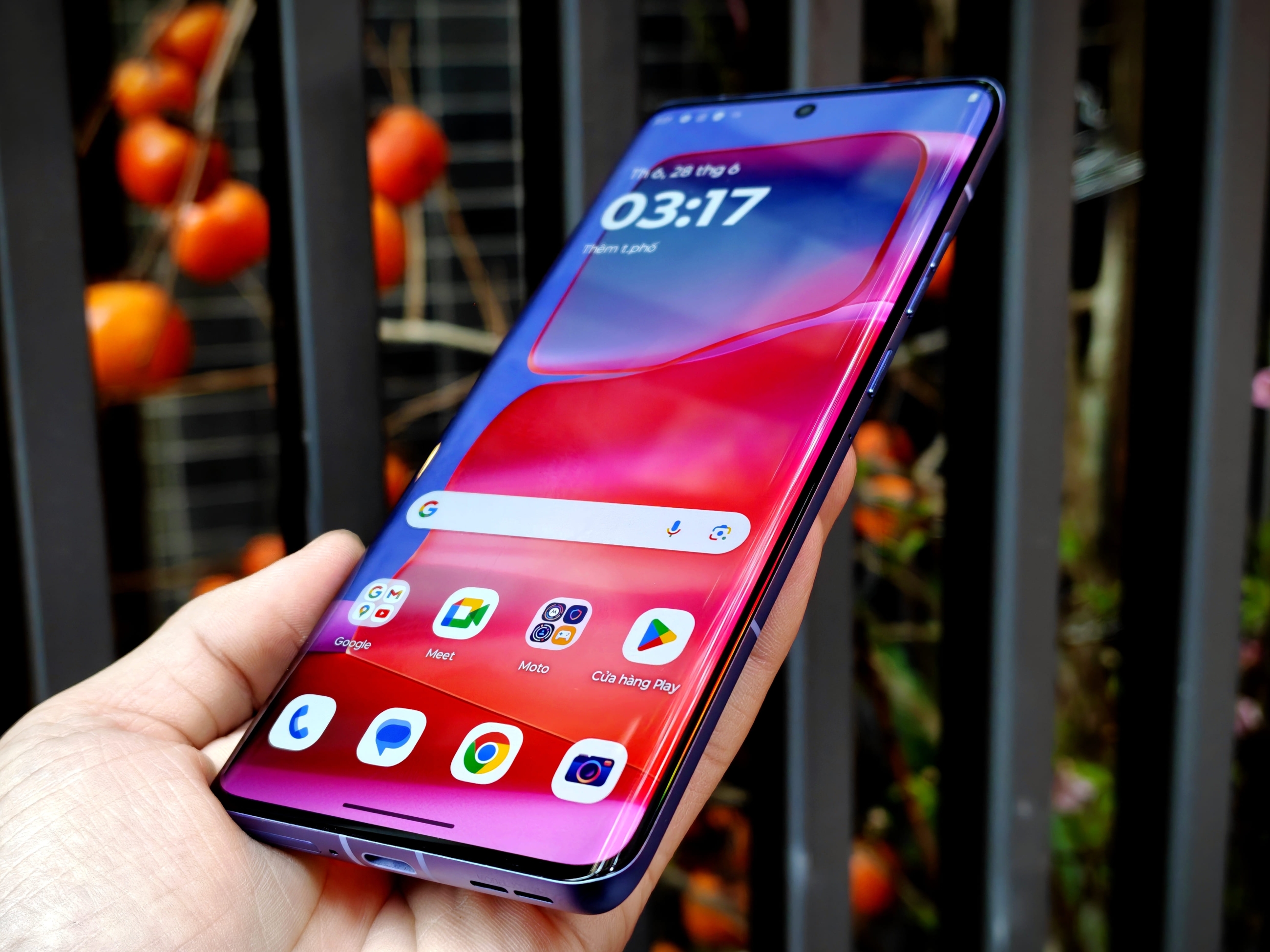 IMG_20260108_095029_1767841152874edit(1)