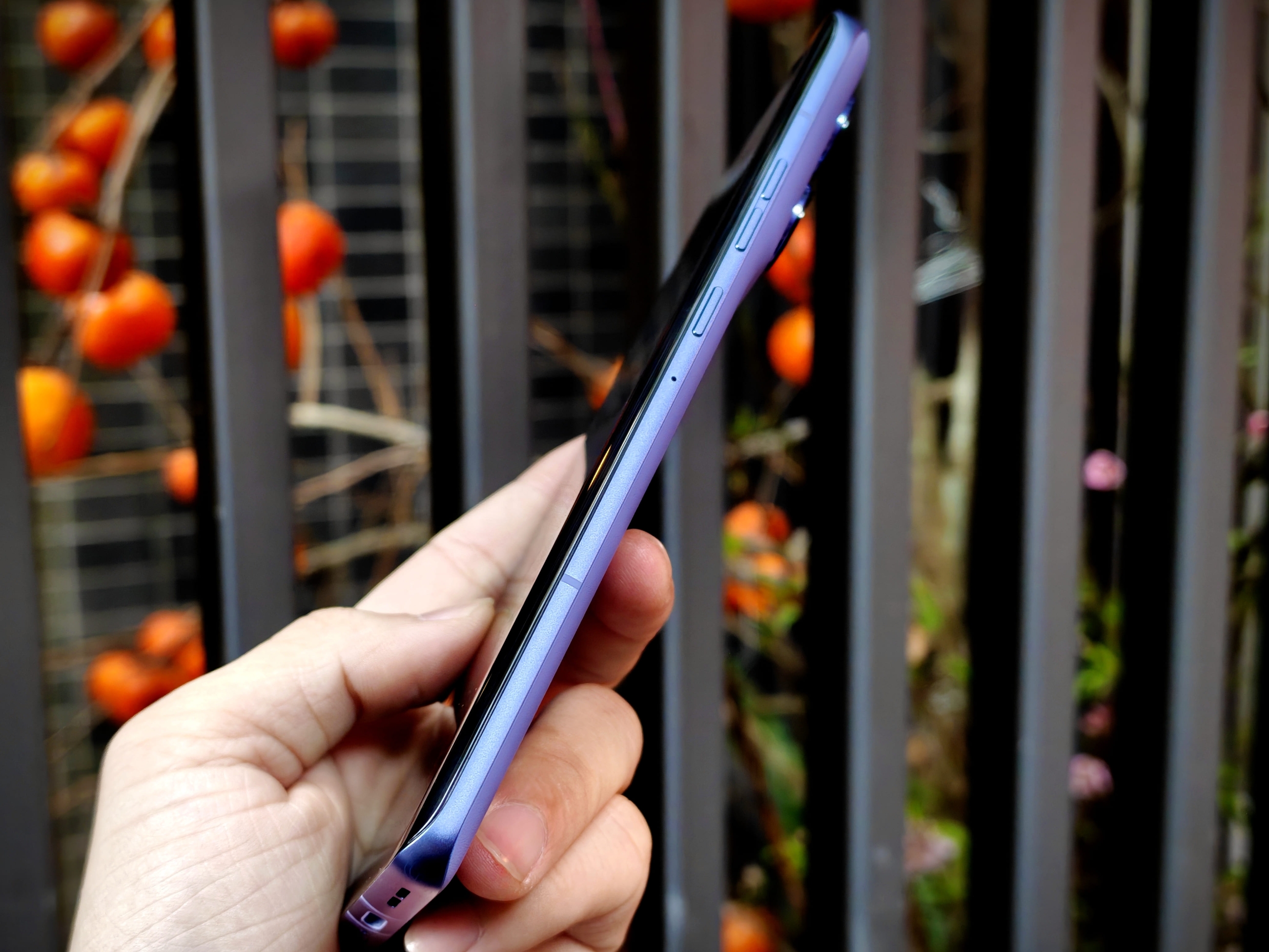 IMG_20260108_095109_1767841167909edit(1)