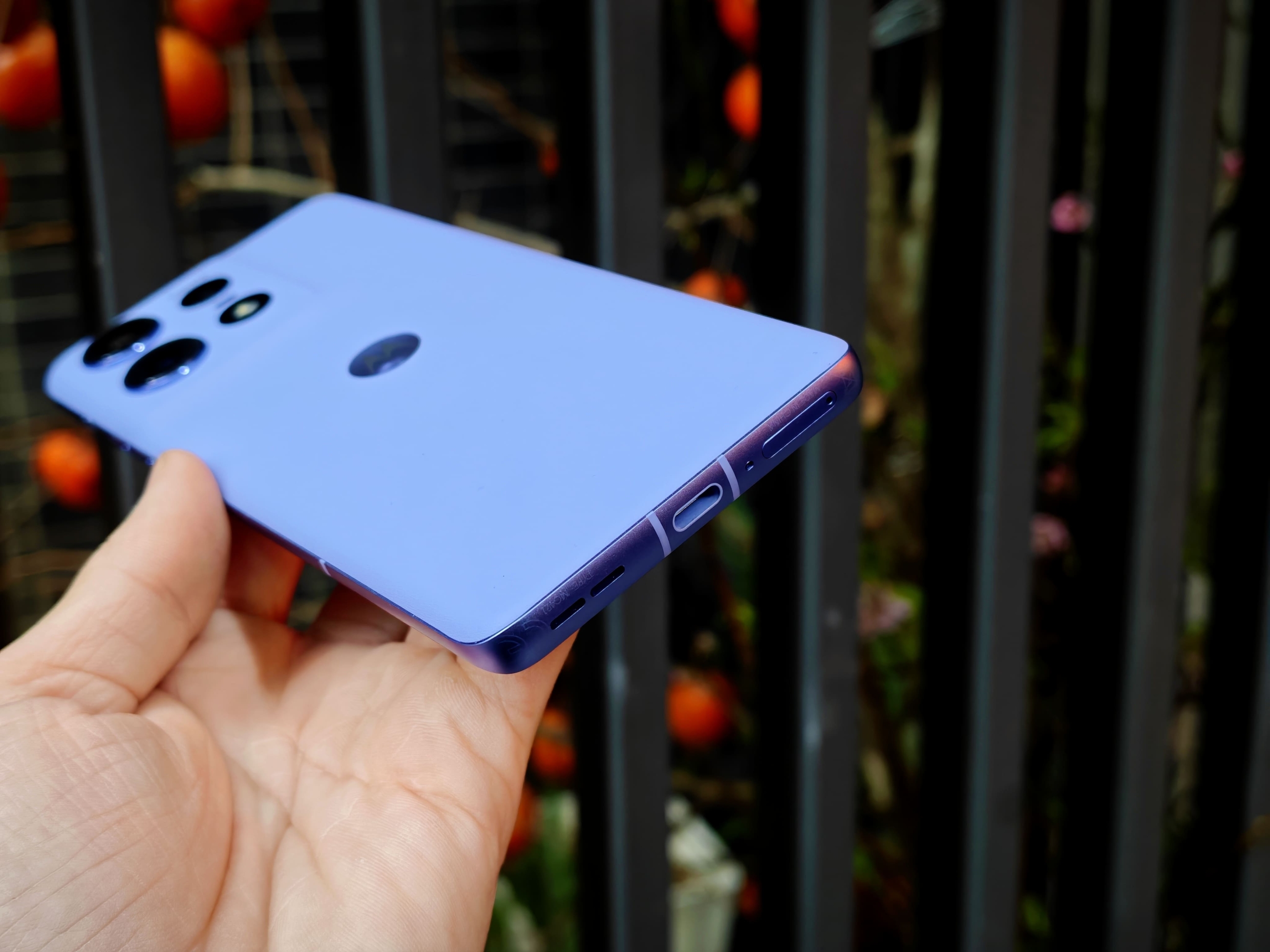 IMG_20260108_095130_1767841178521edit(1)